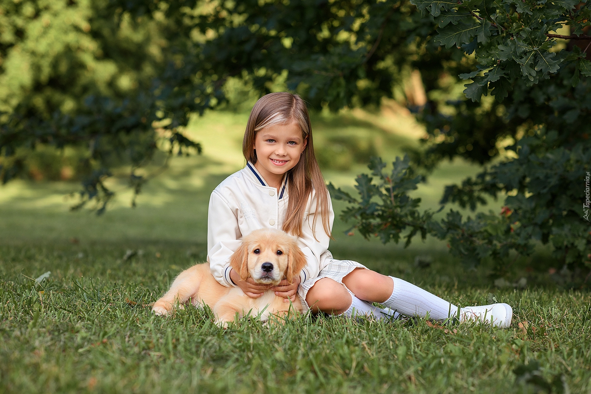 Dziewczynka, Szczeniak, Golden retriever, Trawa