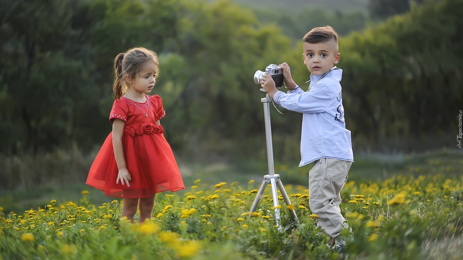 Chłopiec, Dziewczynka, Łąka, Aparat fotograficzny