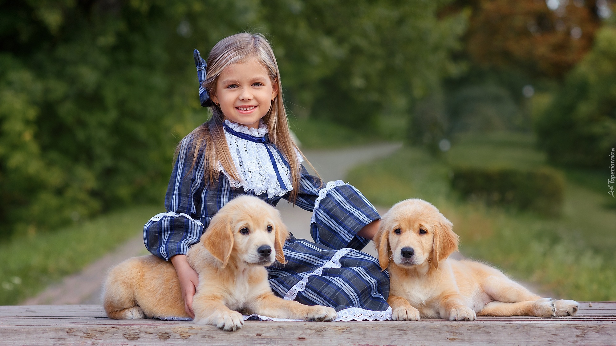 Dziewczynka, Szczeniaki, Golden retriever