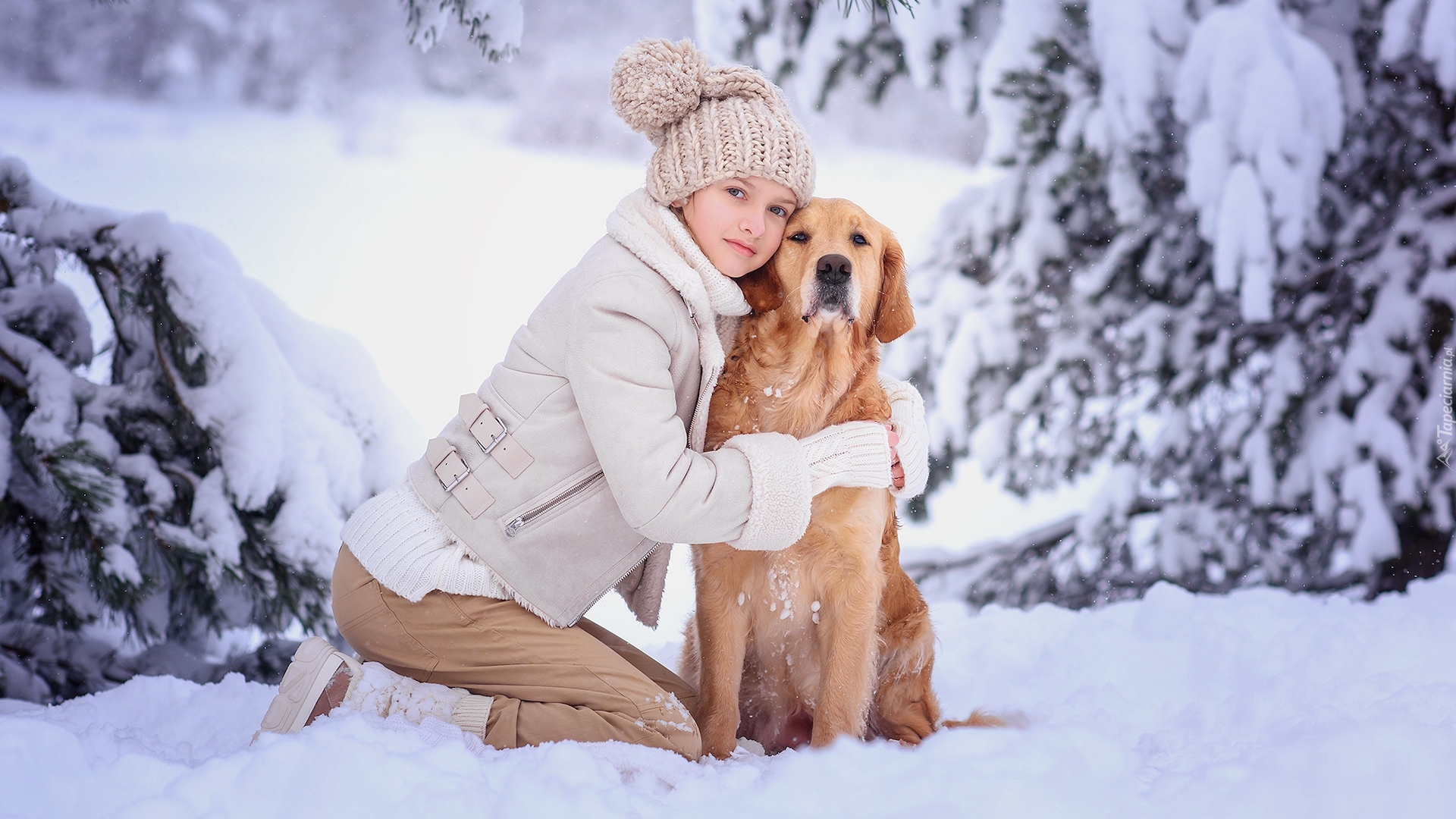 Dziewczynka, Pies, Golden retriever, Śnieg, Zima, Ośnieżone, Drzewa