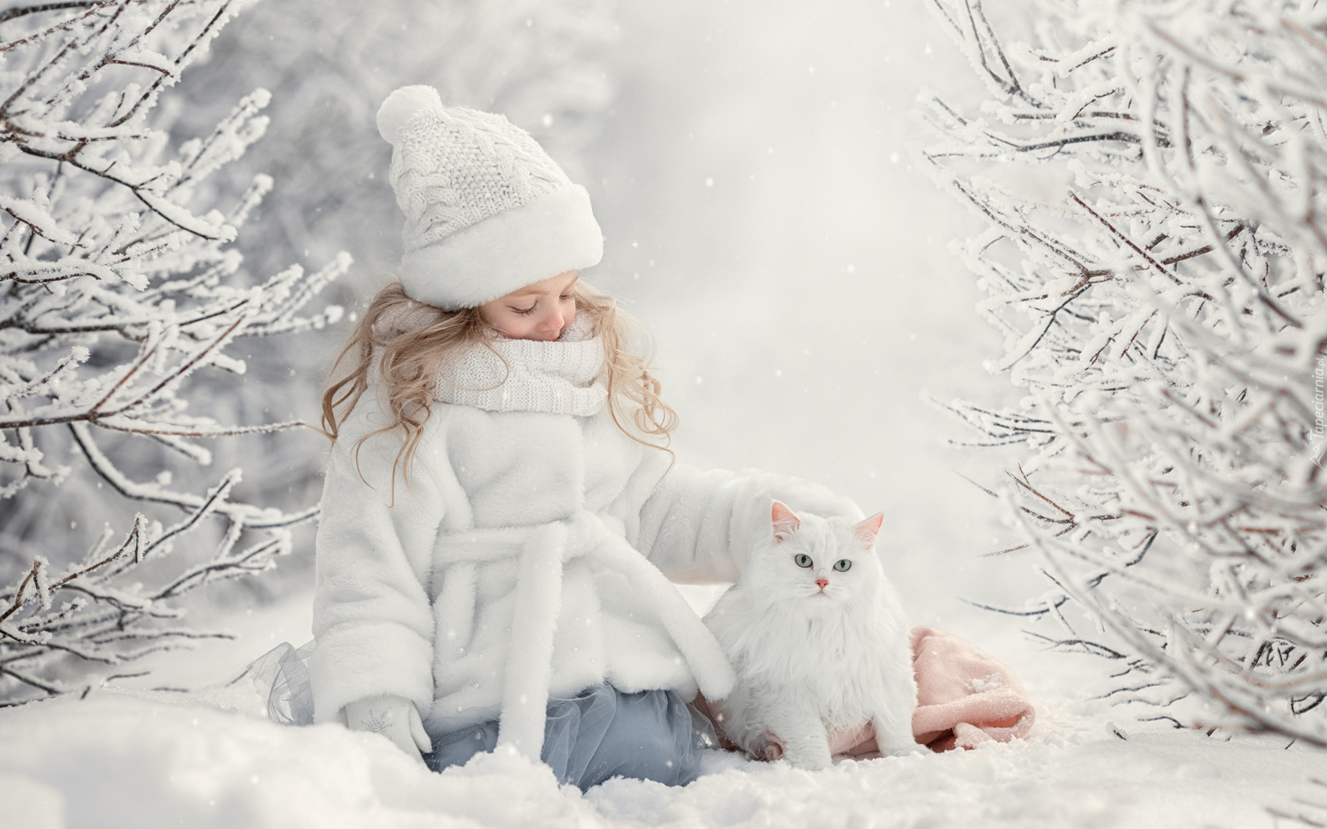 Dziewczynka, Biały, Kot, Zima