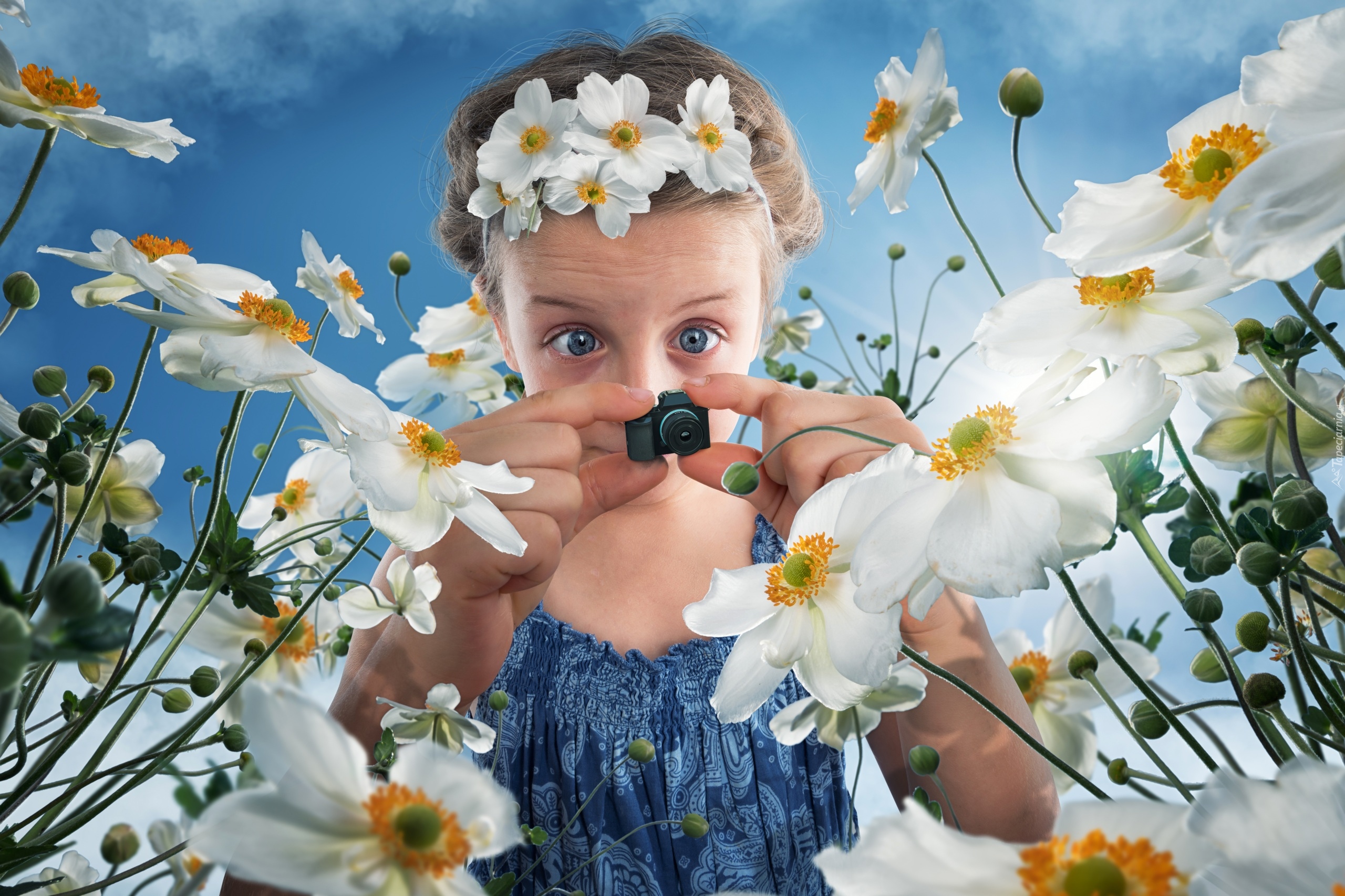 Dziewczynka, Kwiaty, Zawilce, Aparat fotograficzny, Śmieszne