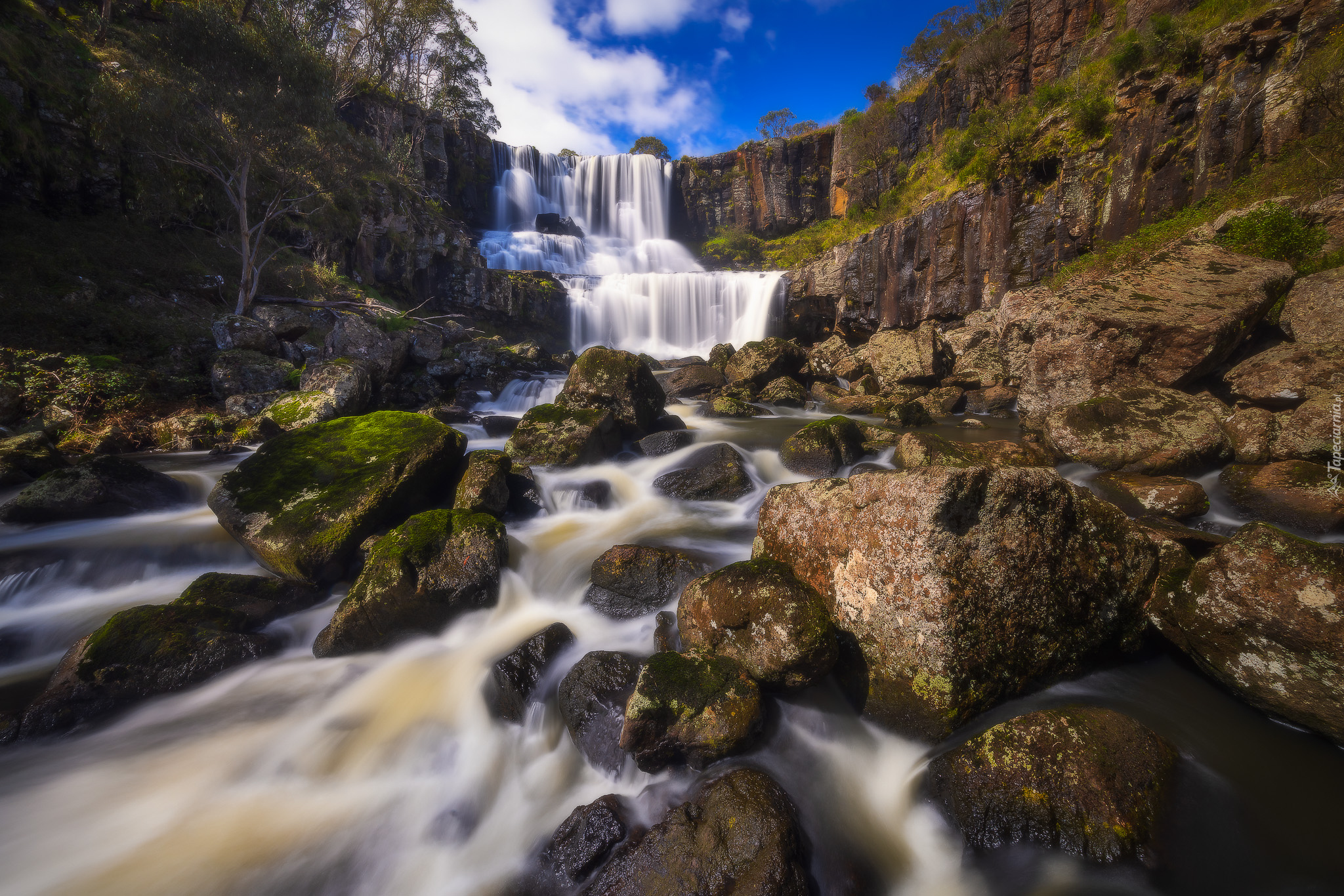Australia, Nowa Południowa Walia, Park Narodowy Guy Fawkes River, Wodospad, Ebor Falls, Kaskada, Rzeka, Skała, Kamienie, Mech, Drzewa