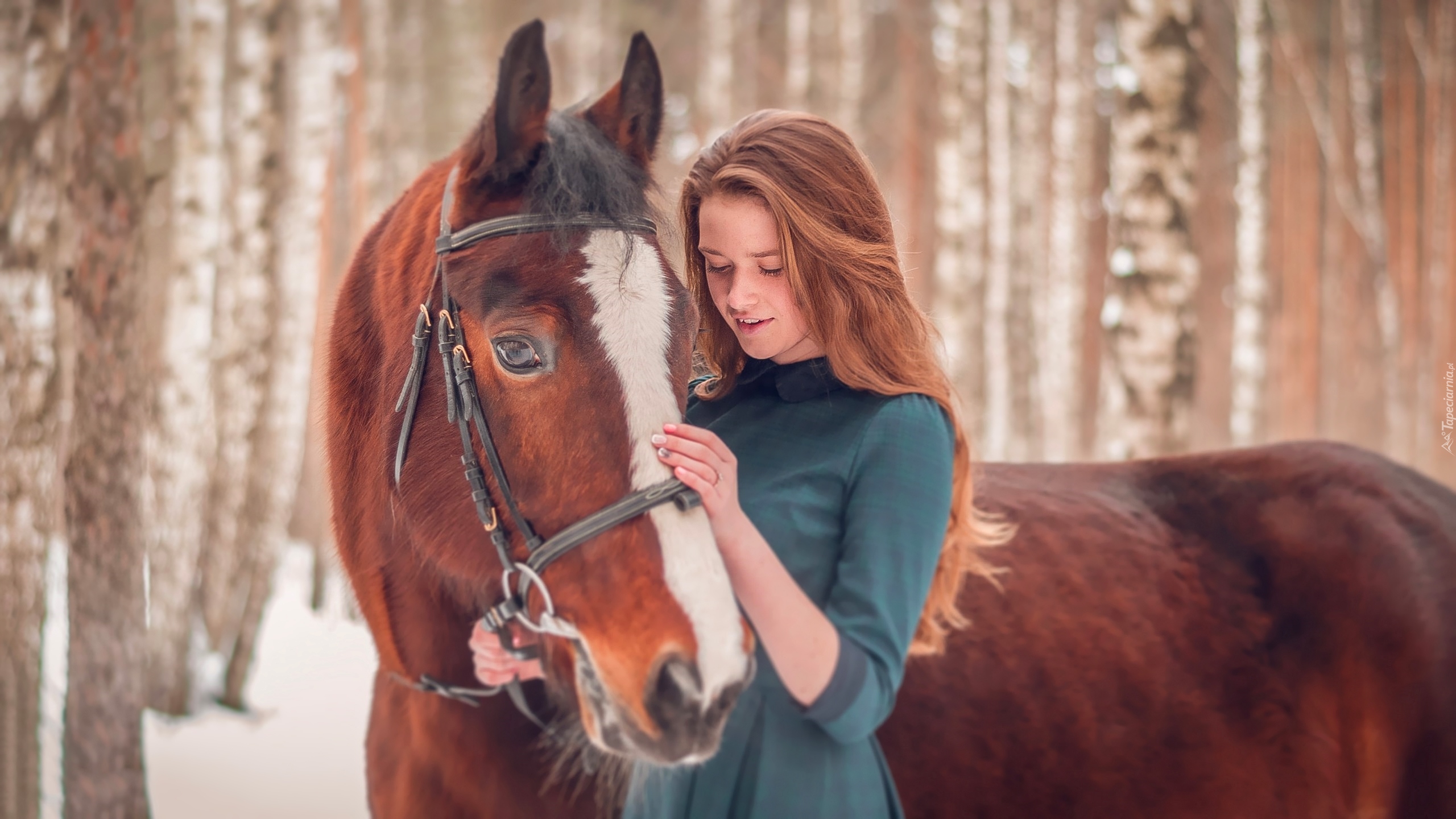 Rudowłosa, Dziewczyna, Ekaterina Kondratyeva, Koń