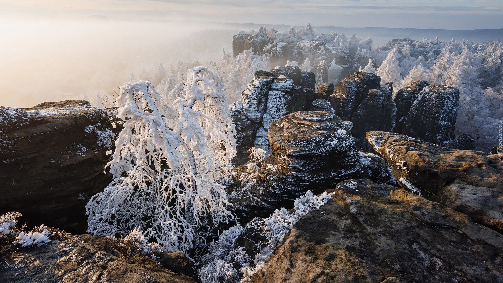 Góry Połabskie, Elbe Sandstone Mountains, Skały, Drzewa, Zima, Czechy