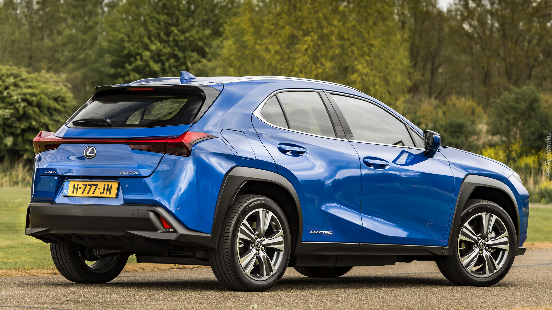 Lexus UX, Electric