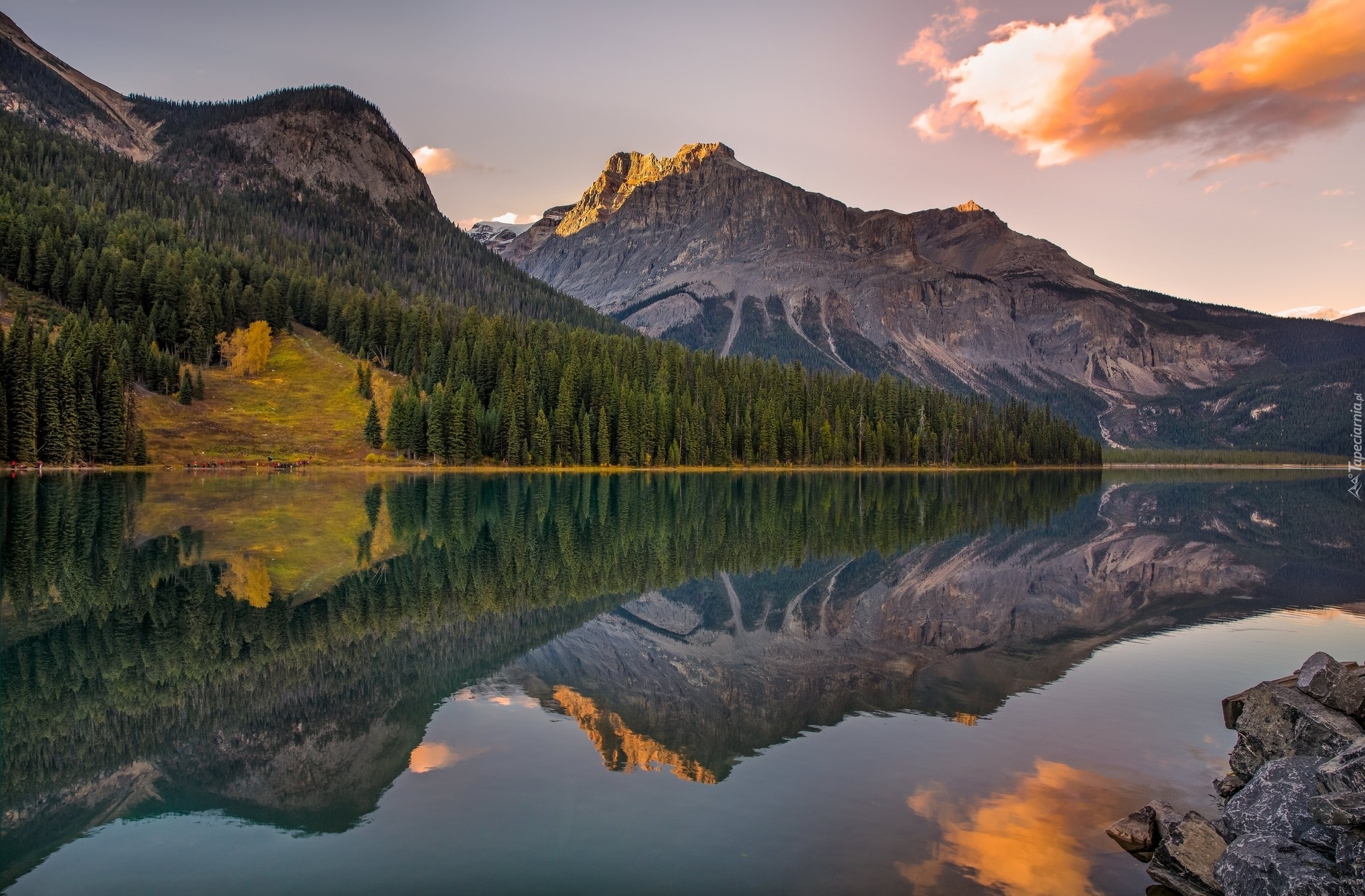 Kanada, Kolumbia Brytyjska, Park Narodowy Yoho, Jezioro Emerald Lake, Góry, Świerki, Odbicie