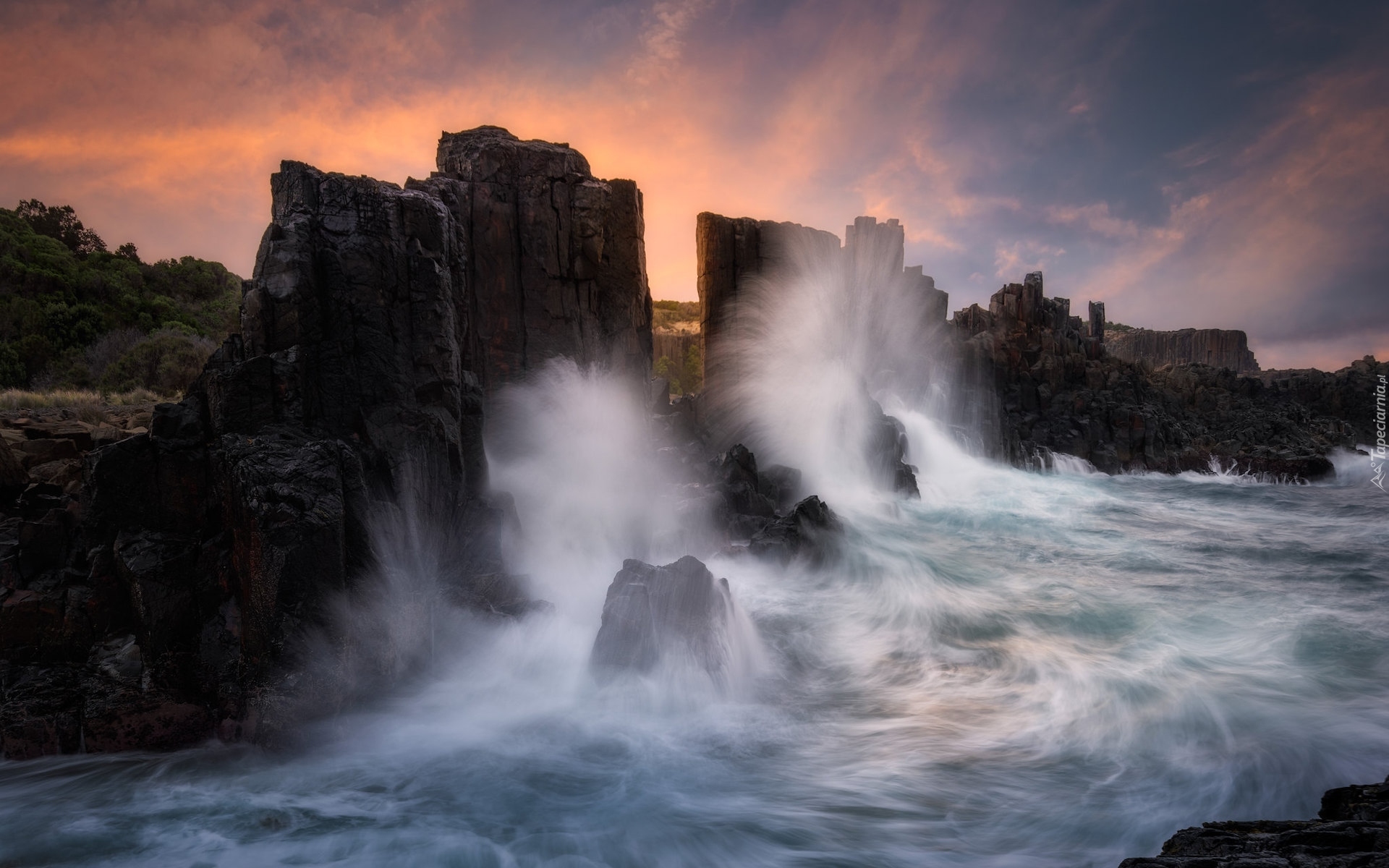 Morze, Fale, Formacja skalna, Bombo Headland Quarry, Skały, Drzewa, Bombo, Kiama, Australia