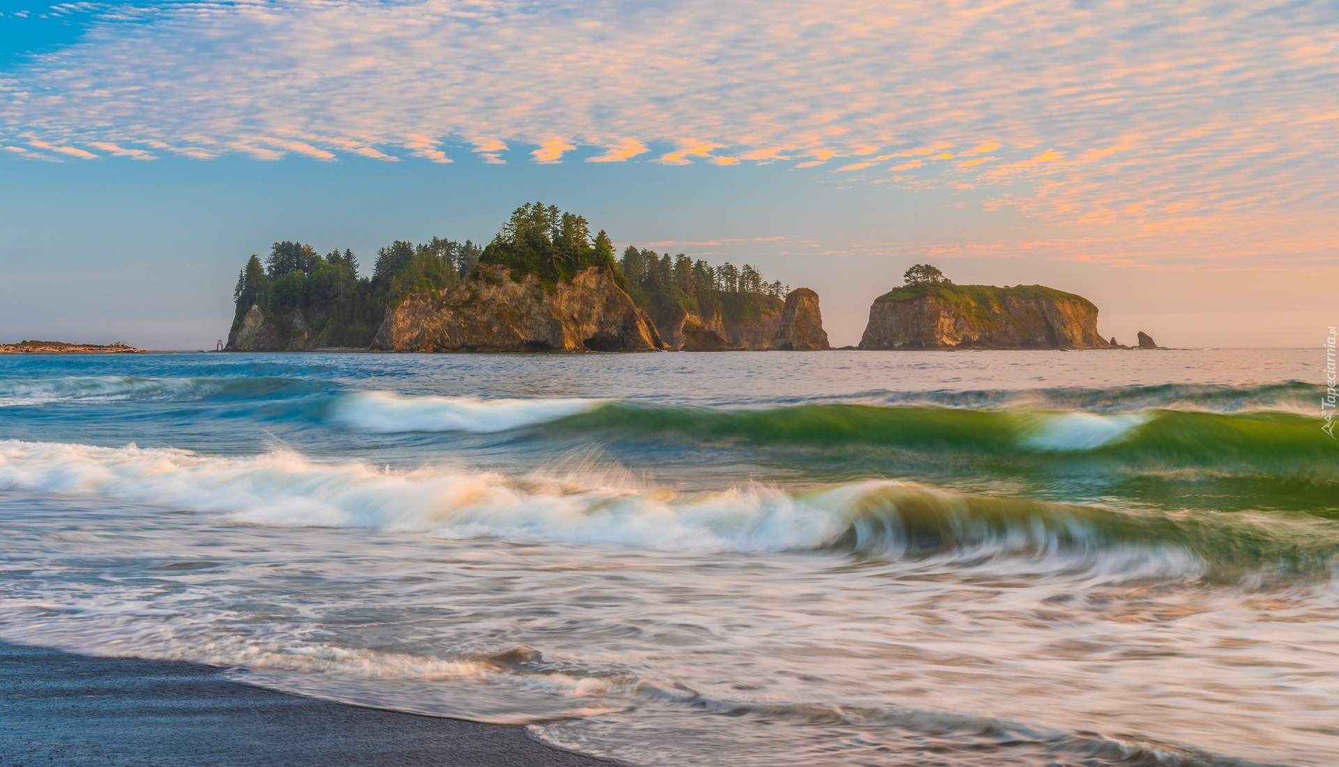 Stany Zjednoczone, Stan Waszyngton, Plaża, Rialto Beach, Park Narodowy Olympic, Morze, Fale, Brzeg, Skały, Drzewa