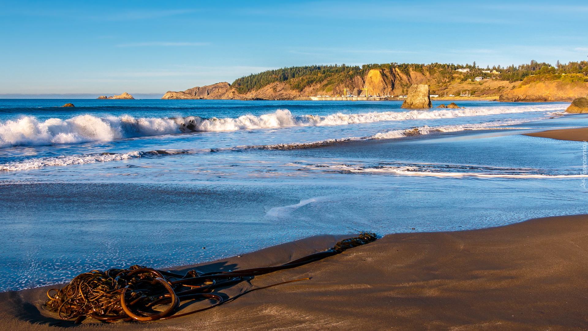 Morze, Fale, Skały, Port Orford, Stan Oregon, Stany Zjednoczone