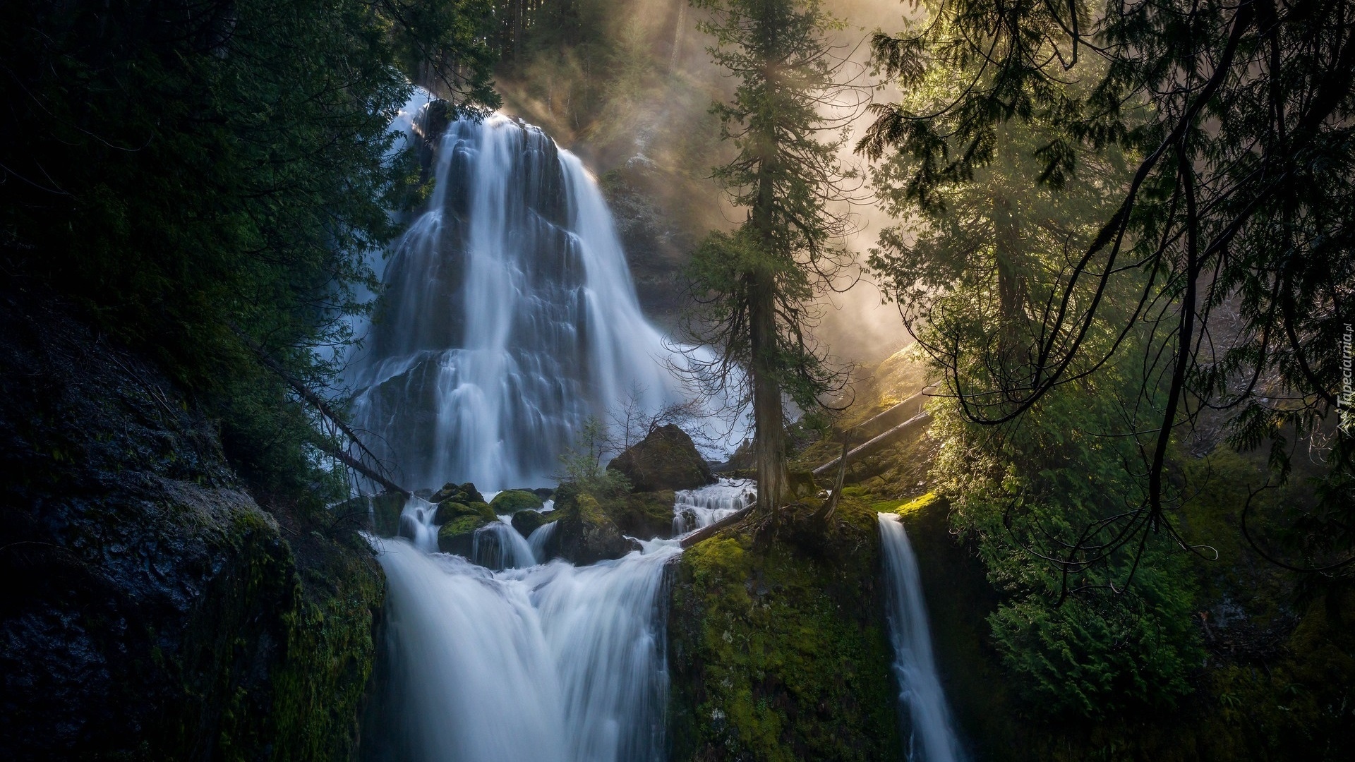 Skały, Wodospad, Falls Creek Falls, Drzewa, Przebijające światło, Stan Waszyngton, Stany Zjednoczone