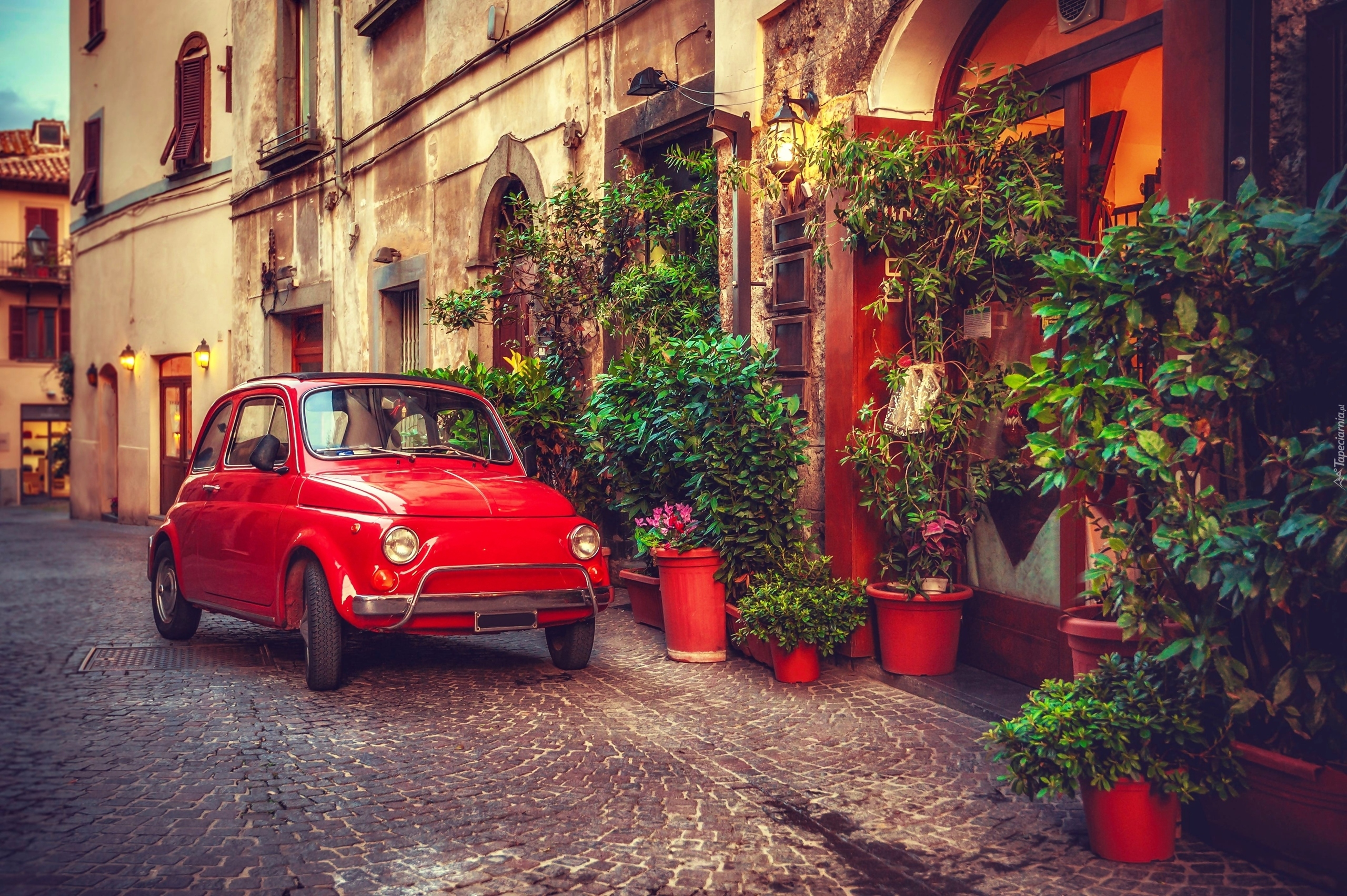 Fiat 500, Ulica, Rośliny