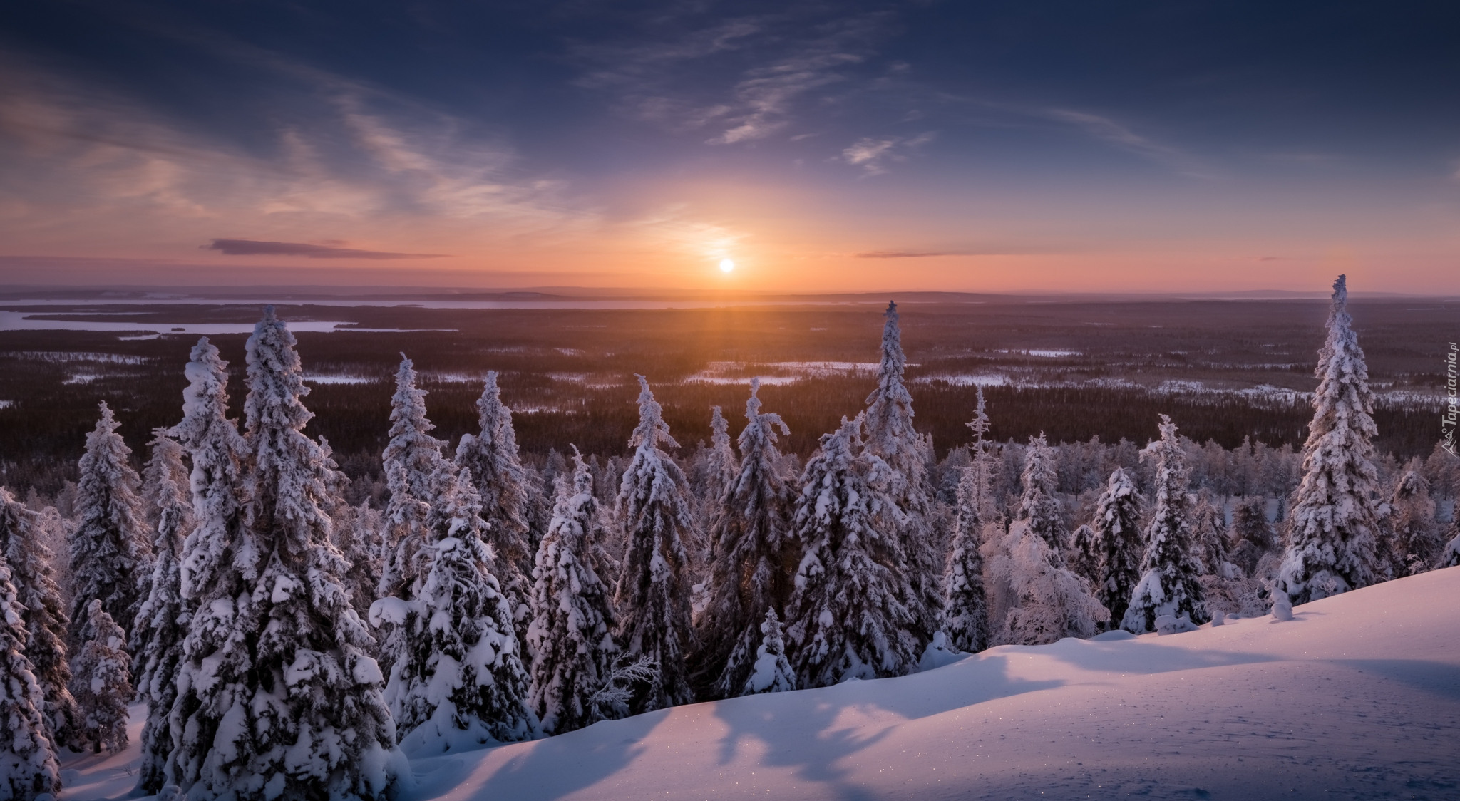 Finlandia, Laponia, Gmina Posio, Park Narodowy Riisitunturi, Zima, Drzewa, Świerki, Zachód słońca