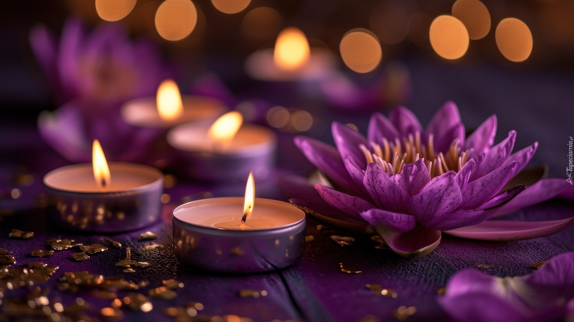 Fioletowy, Kwiat, Lilia wodna, Świeczki