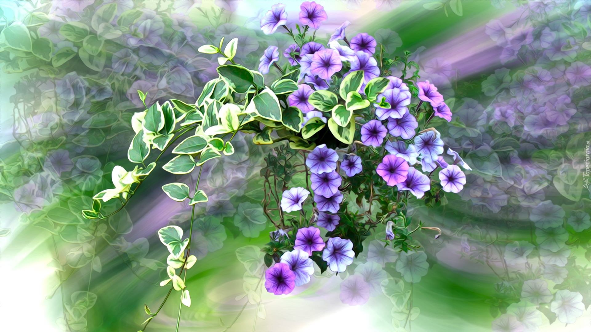 Kwiaty, Petunie, Grafika