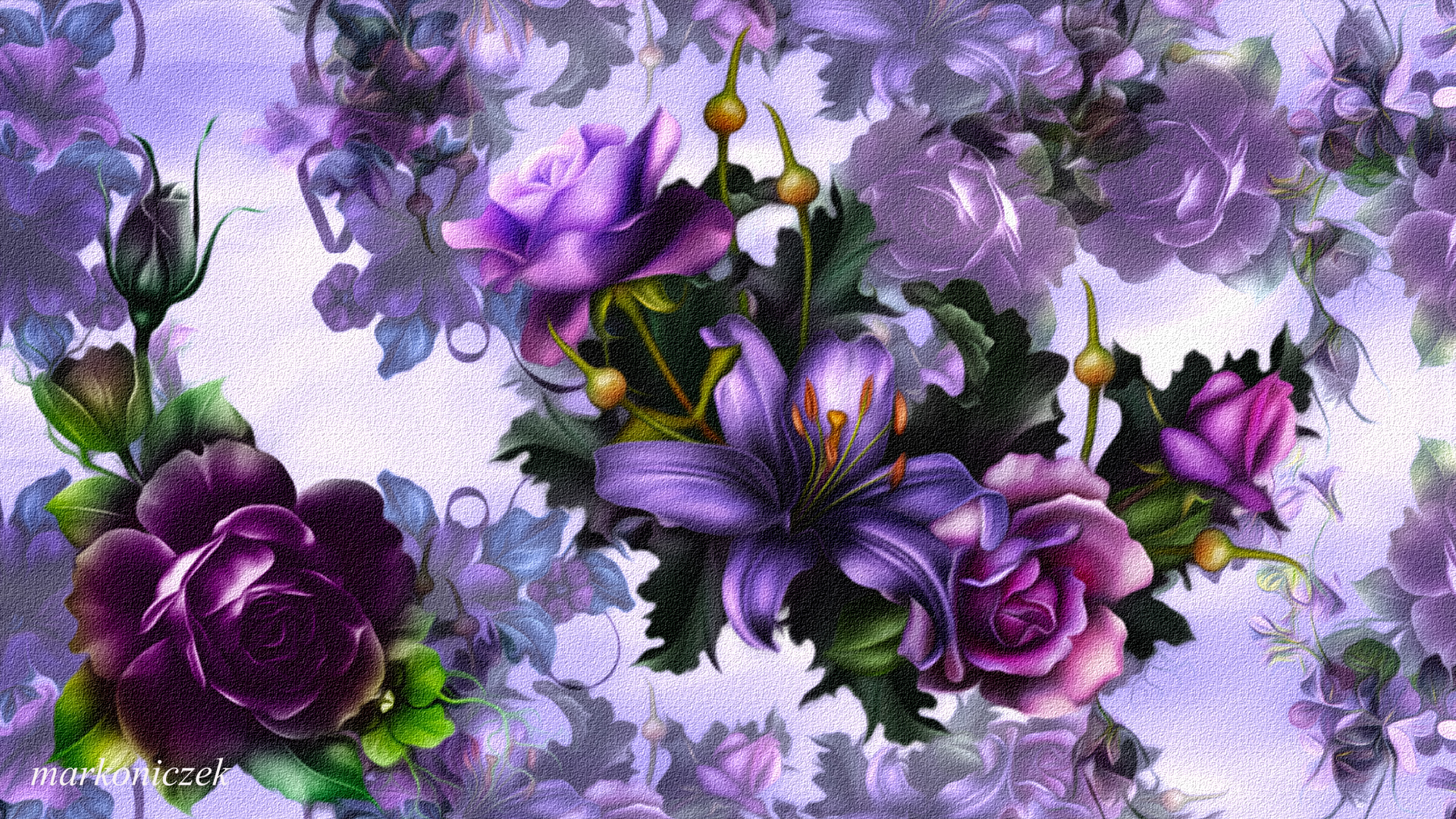 Kwiaty, Lilia, Fioletowe, Róże, Grafika