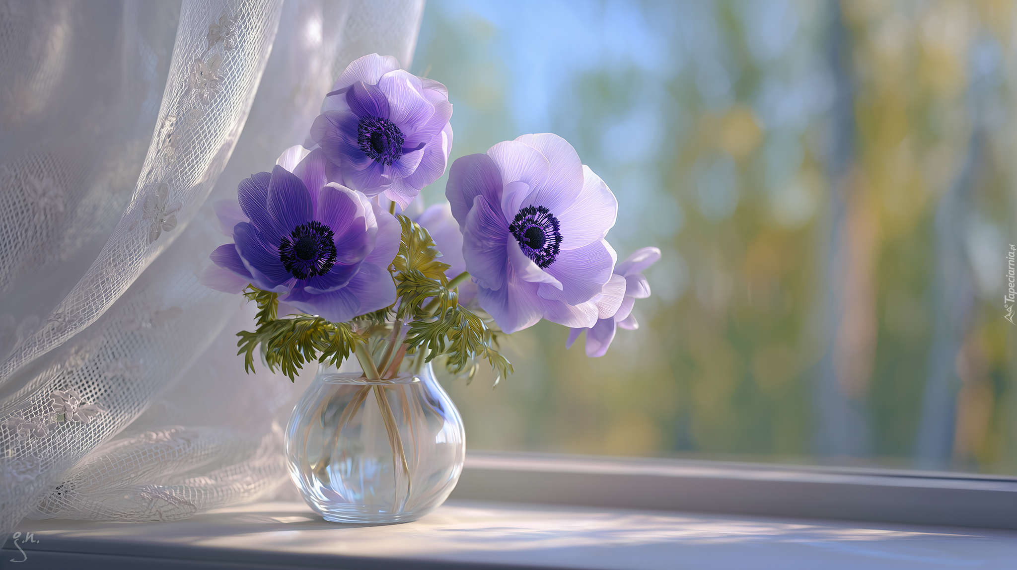 Fioletowe, Zawilce, Anemony, Wazon, Okno, Firanki, Grafika AI