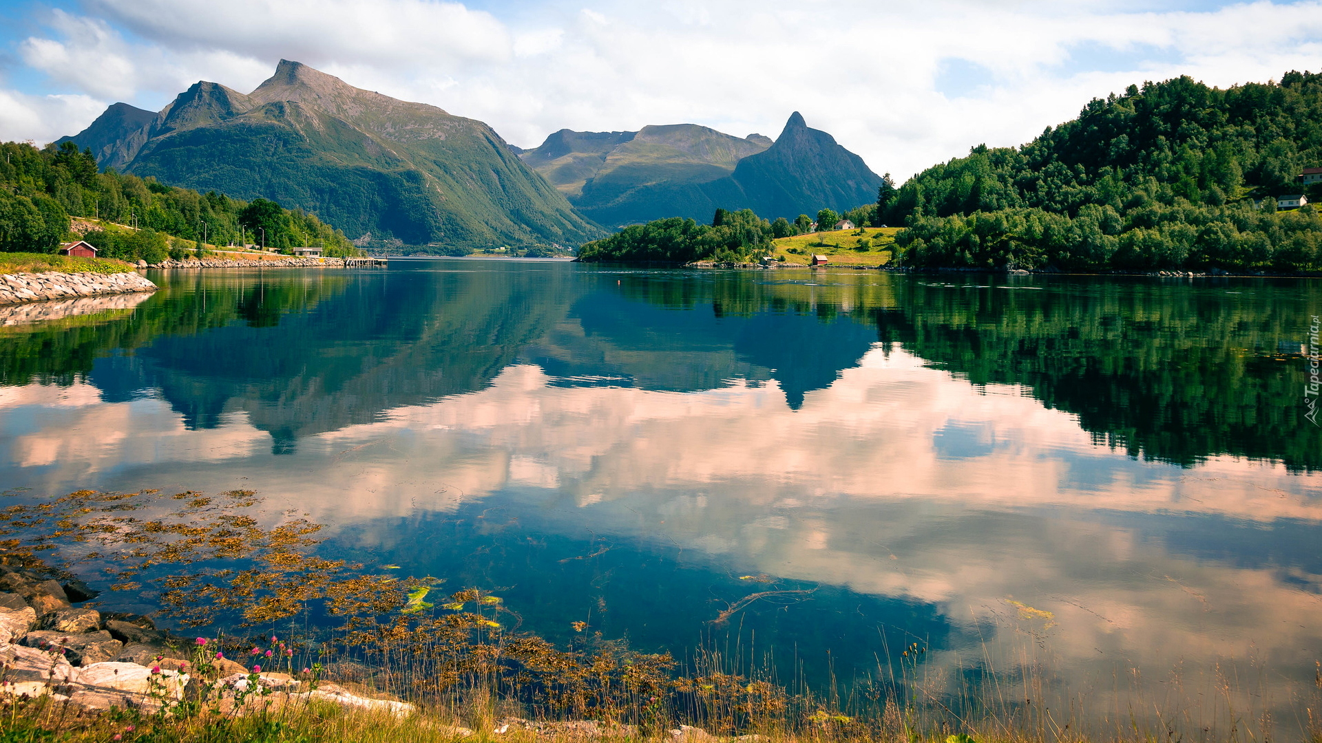 Fiord Eiksund, Góry, Drzewa, Region More og Romsdal, Norwegia