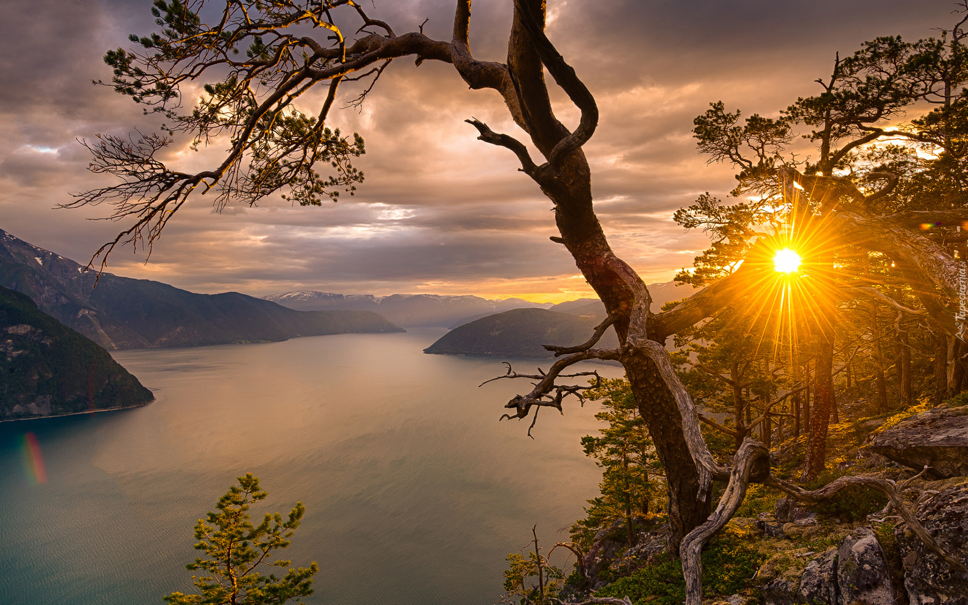 Fiord Sognefjorden, Okręg Sogn og Fjordane, Norwegia, Drzewa, Zachód słońca, Promienie słońca, Góry, Drzewo