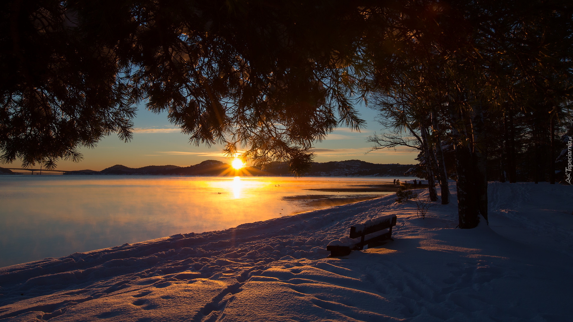 Zima, Drzewa, Ławeczka, Zachód słońca, Fiord Topdalsfjorden, Kristiansand, Norwegia