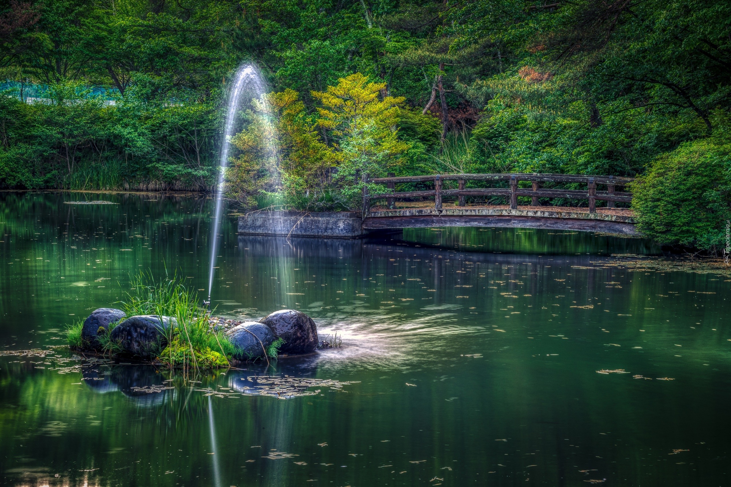 Staw, Fontanna, Most, Park, Drzewa, HDR