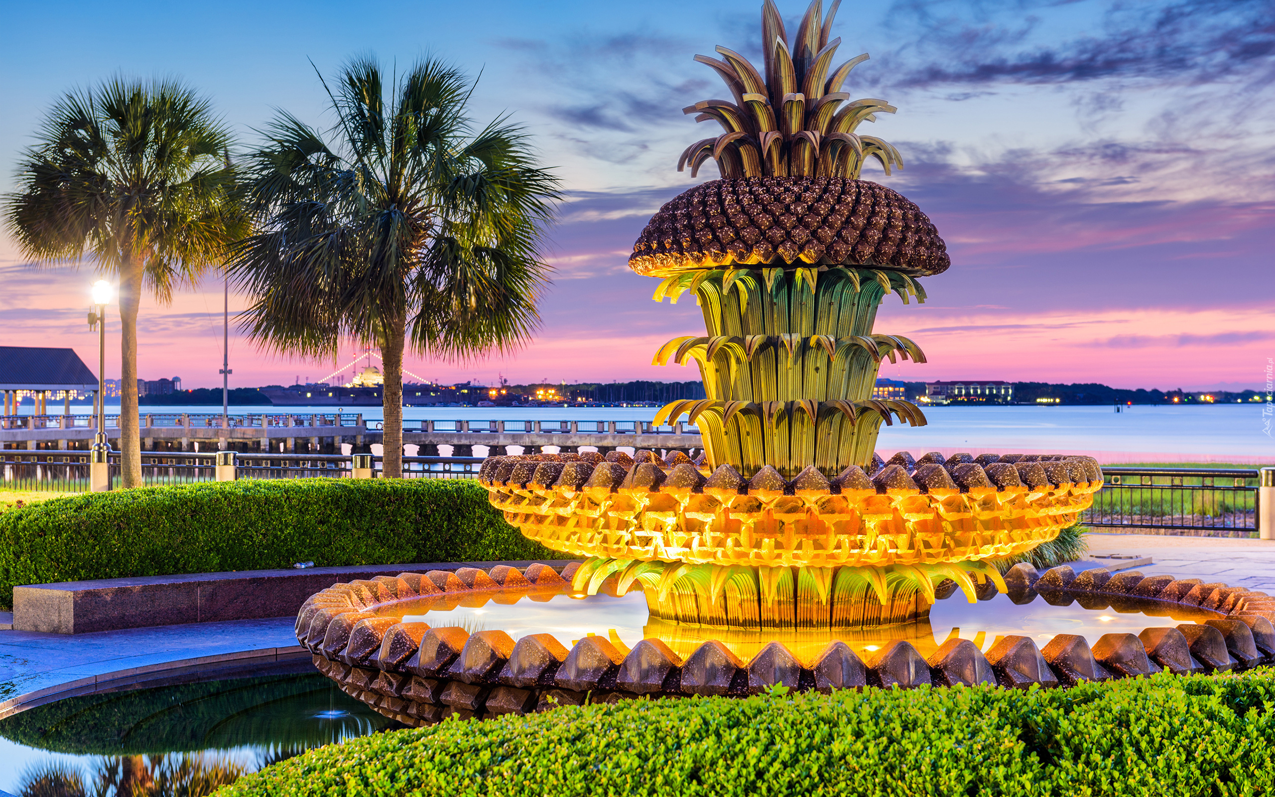 Stany Zjednoczone, Południowa Karolina, Charleston, Waterfront Park, Fontanna, Pineapple Fountain, Palmy