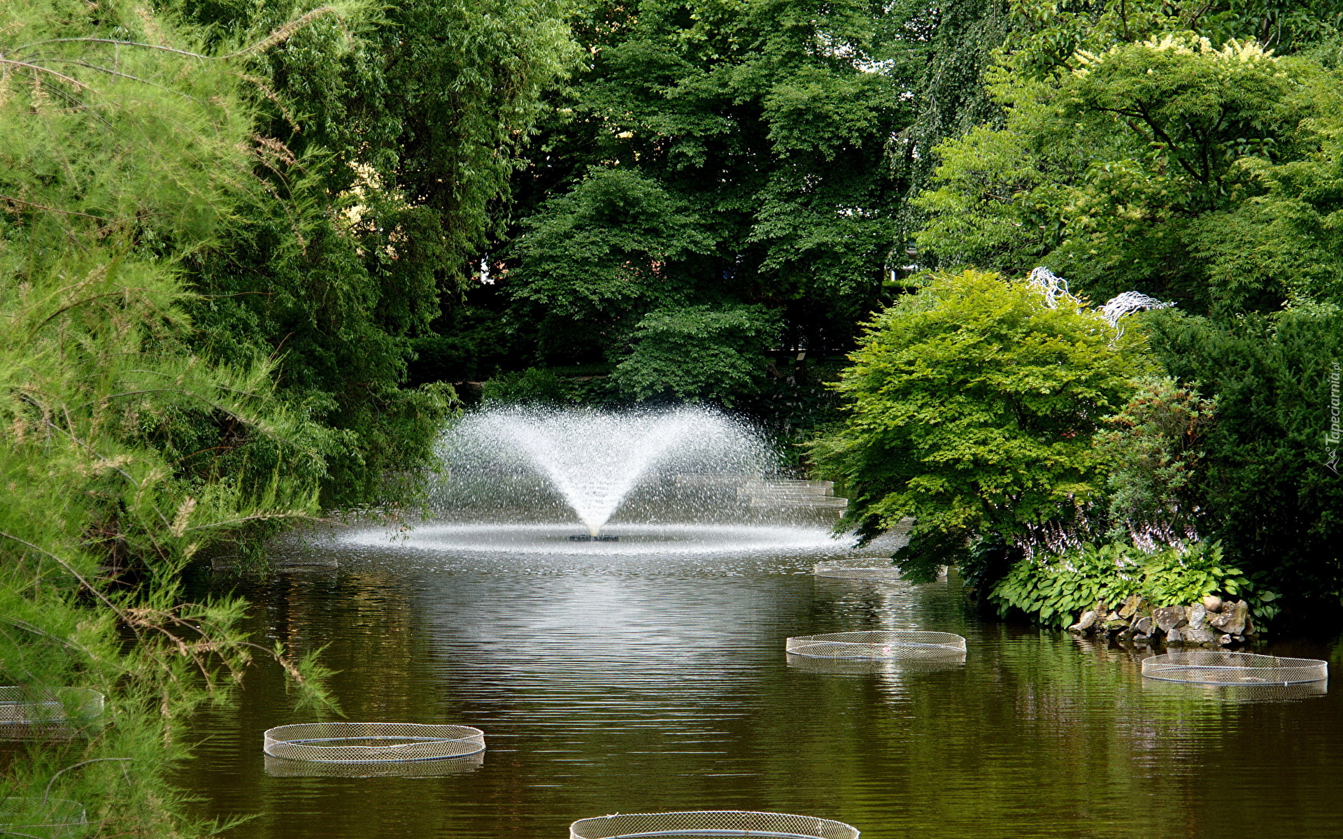 Polska, Wrocław, Ogród botaniczny, Staw, Fontanna, Drzewa