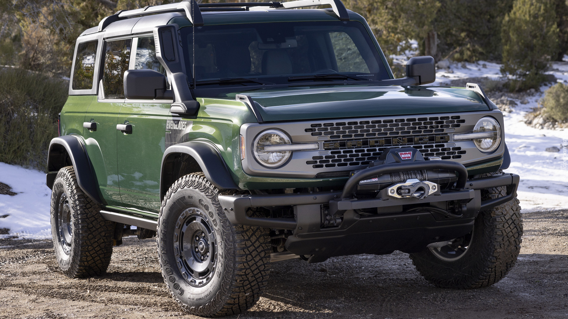 Ford Bronco Everglades