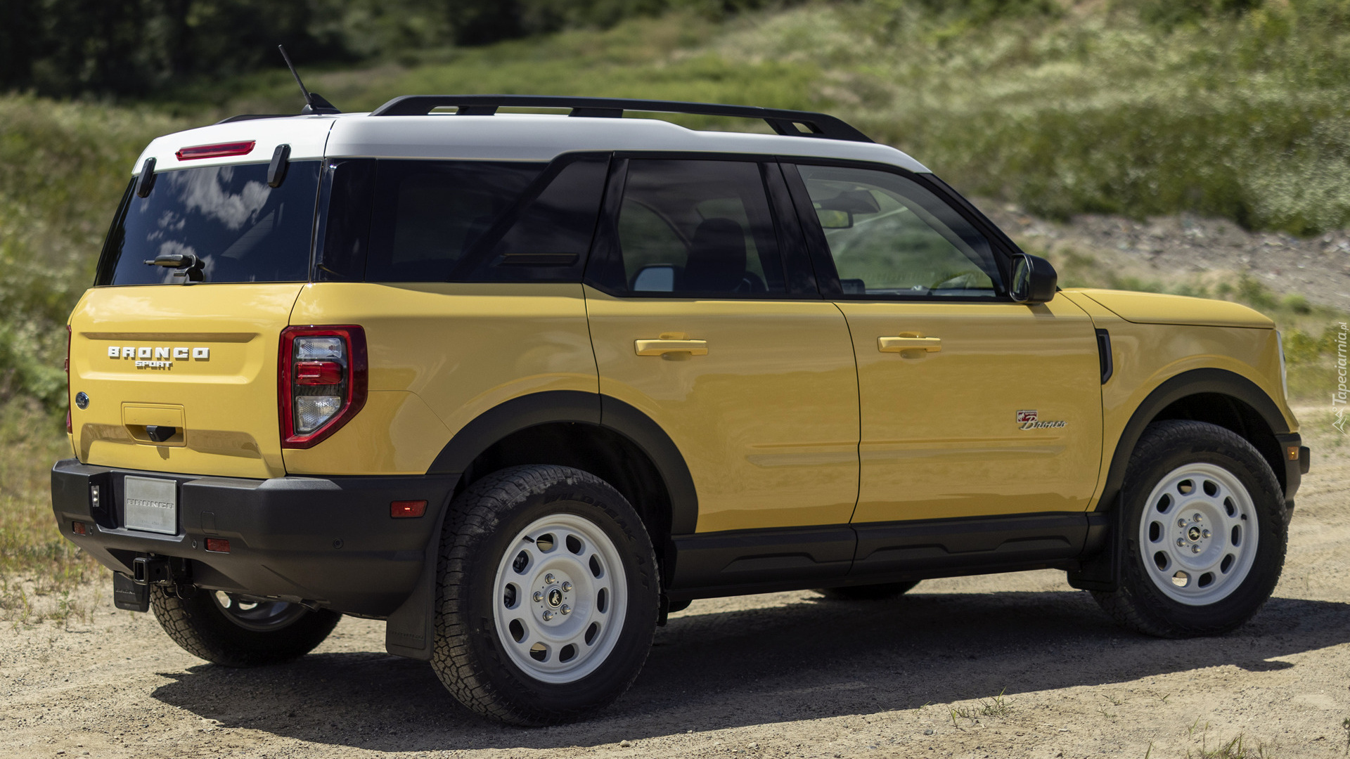 Ford Bronco, Sport Heritage