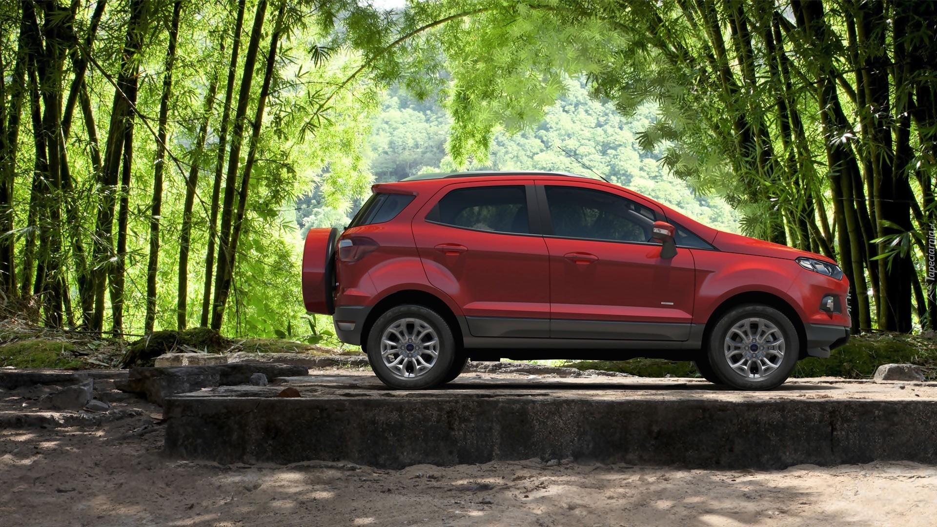 Ford EcoSport, Drzewa, Las