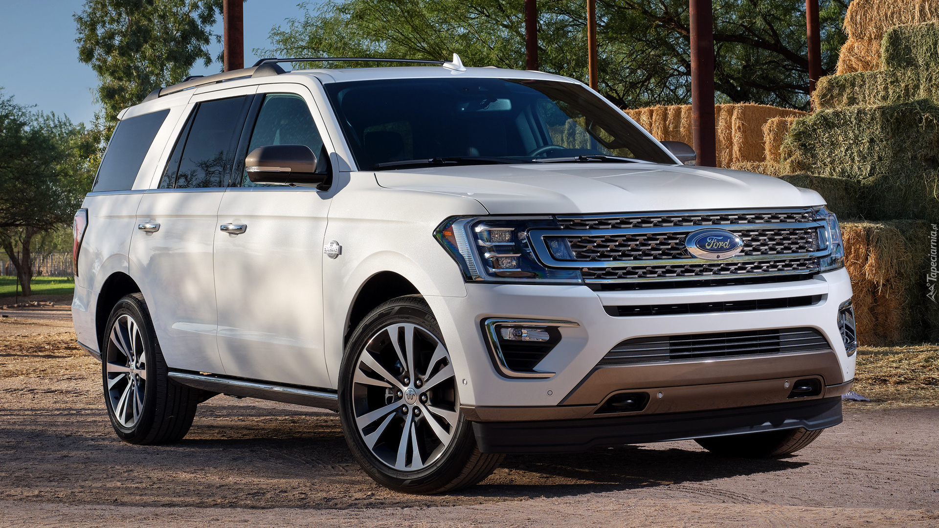 Ford Expedition