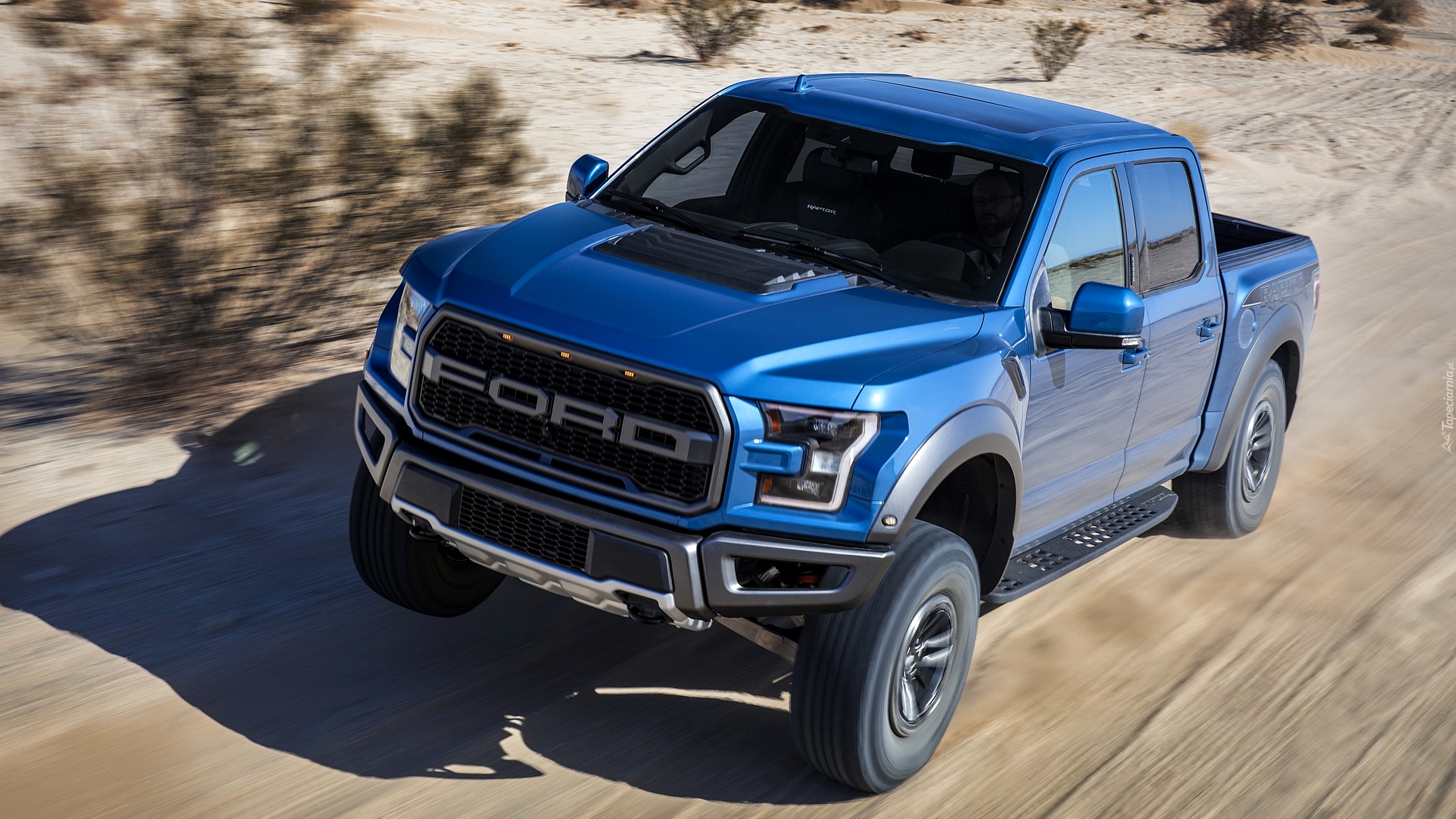 Niebieski, Ford F-150, Raptor, 2019