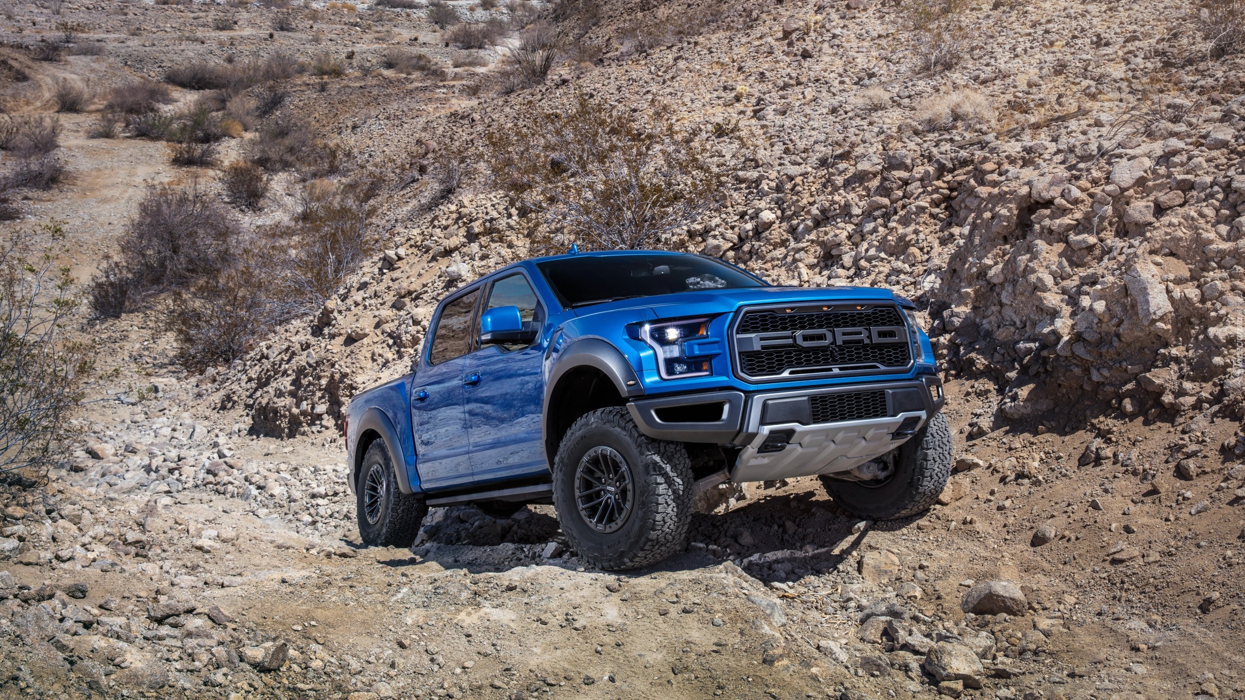 Ford F 150 Raptor, Seria XIII