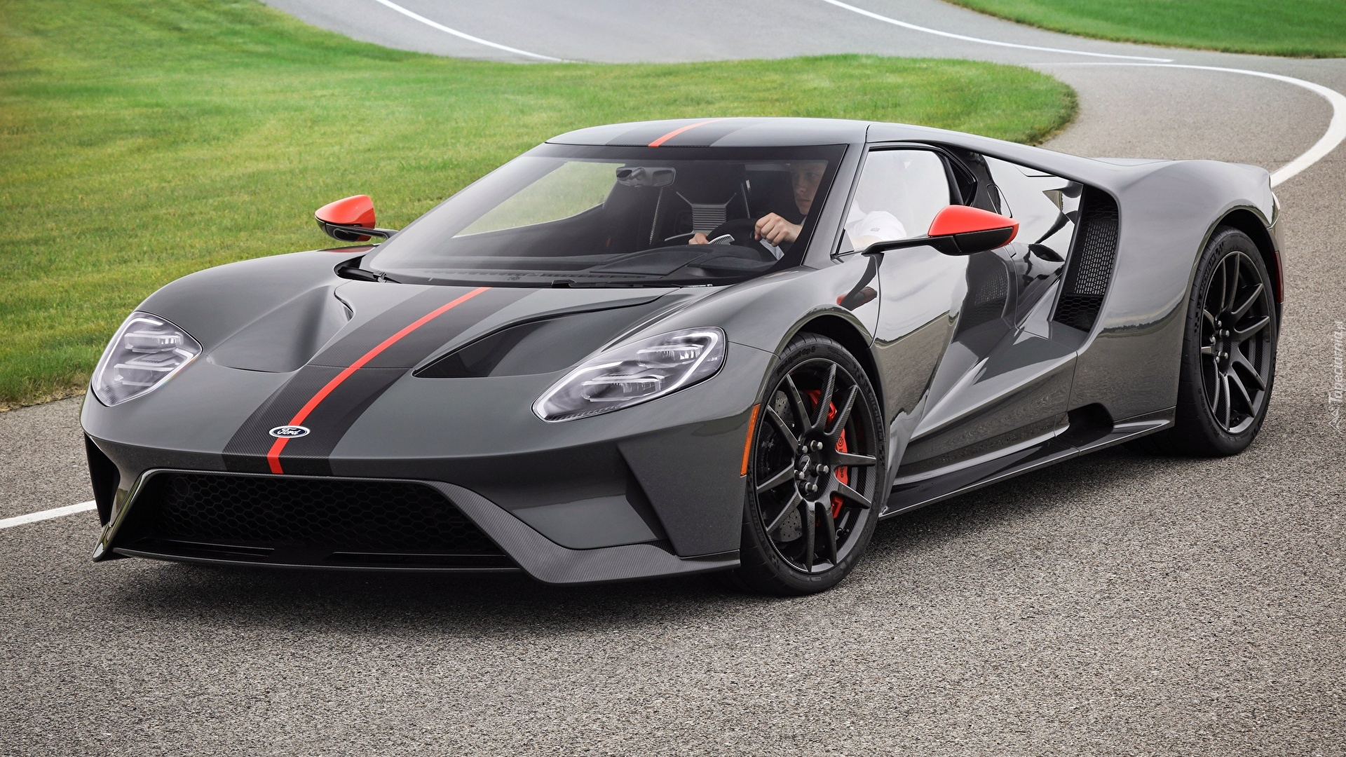 Ford GT, Carbon