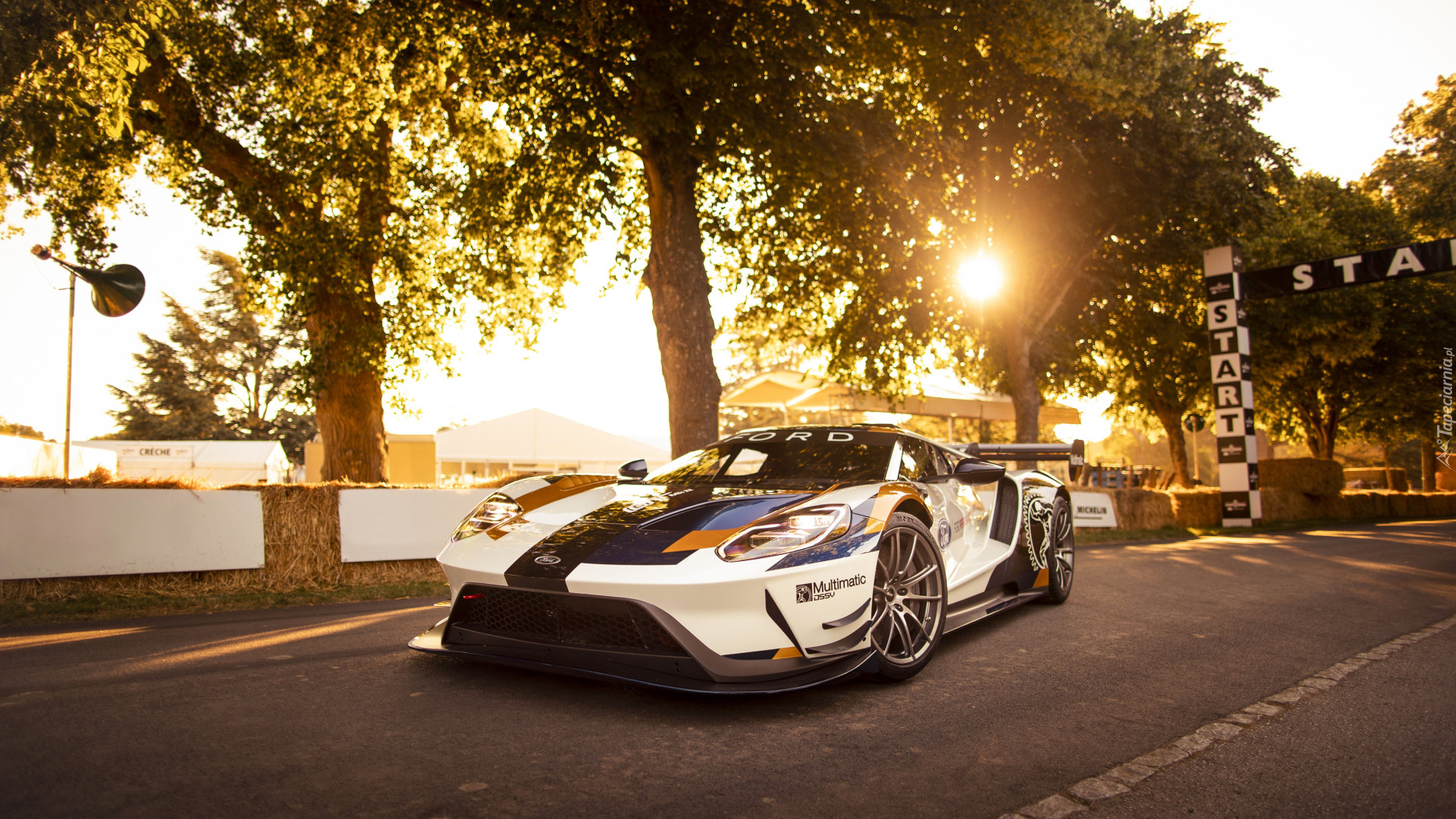 Ford GT40 Mark II, Rajdowy