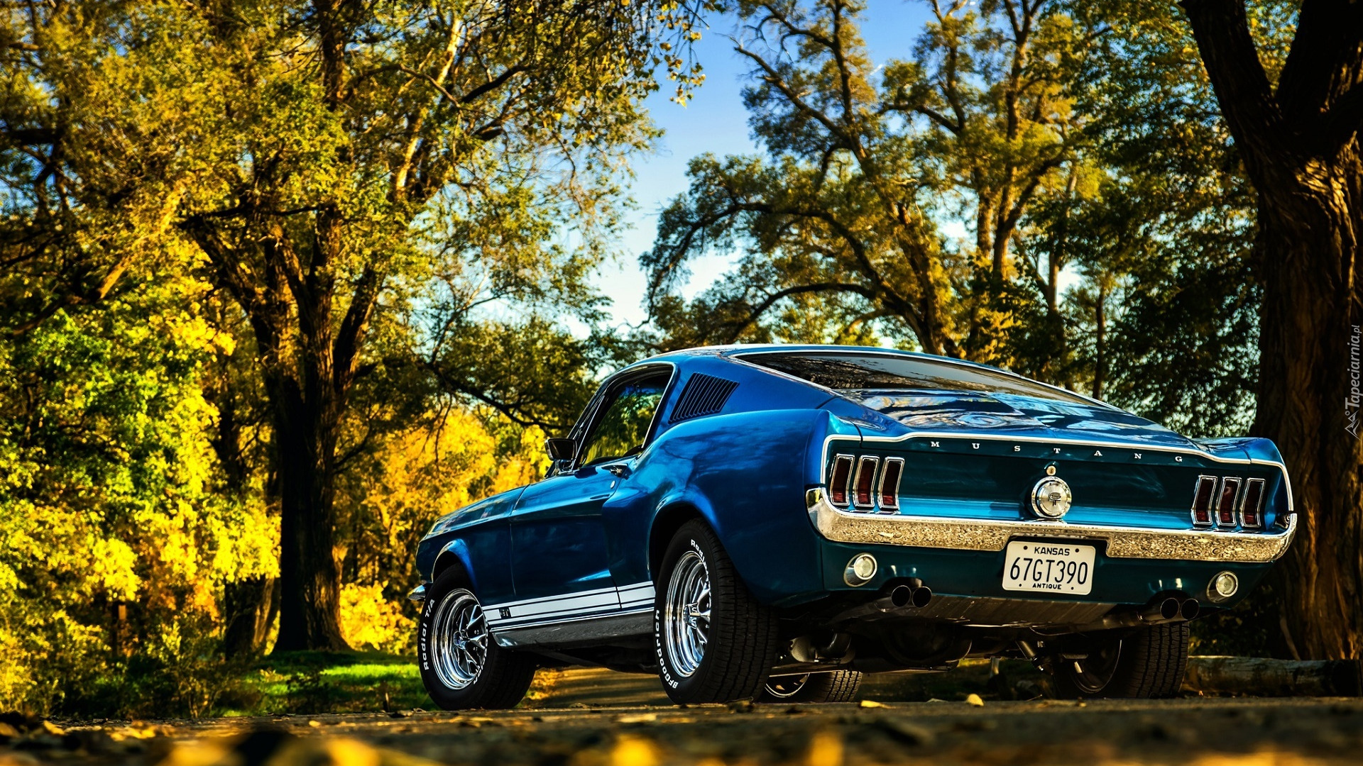 Zabytkowy, Ford Mustang Boss GT 390