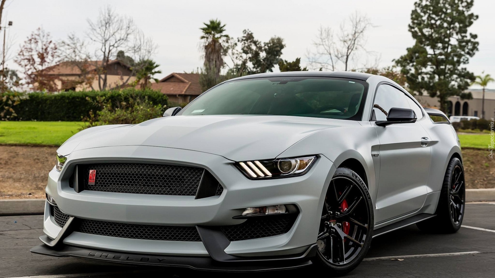 Ford Mustang GT350R, 2018