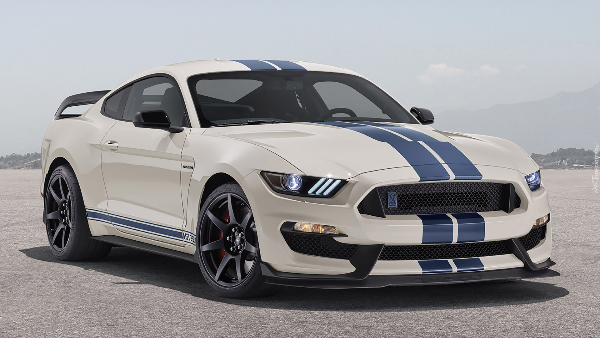 Ford Mustang Shelby GT350 Heritage Edition, 2020