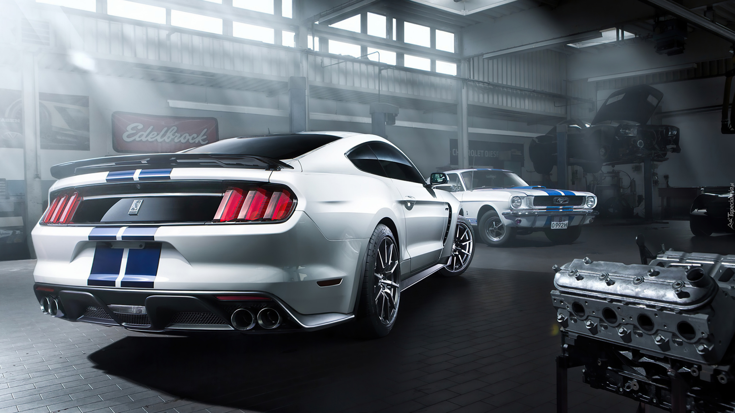 Ford Mustang Shelby GT350, Tył