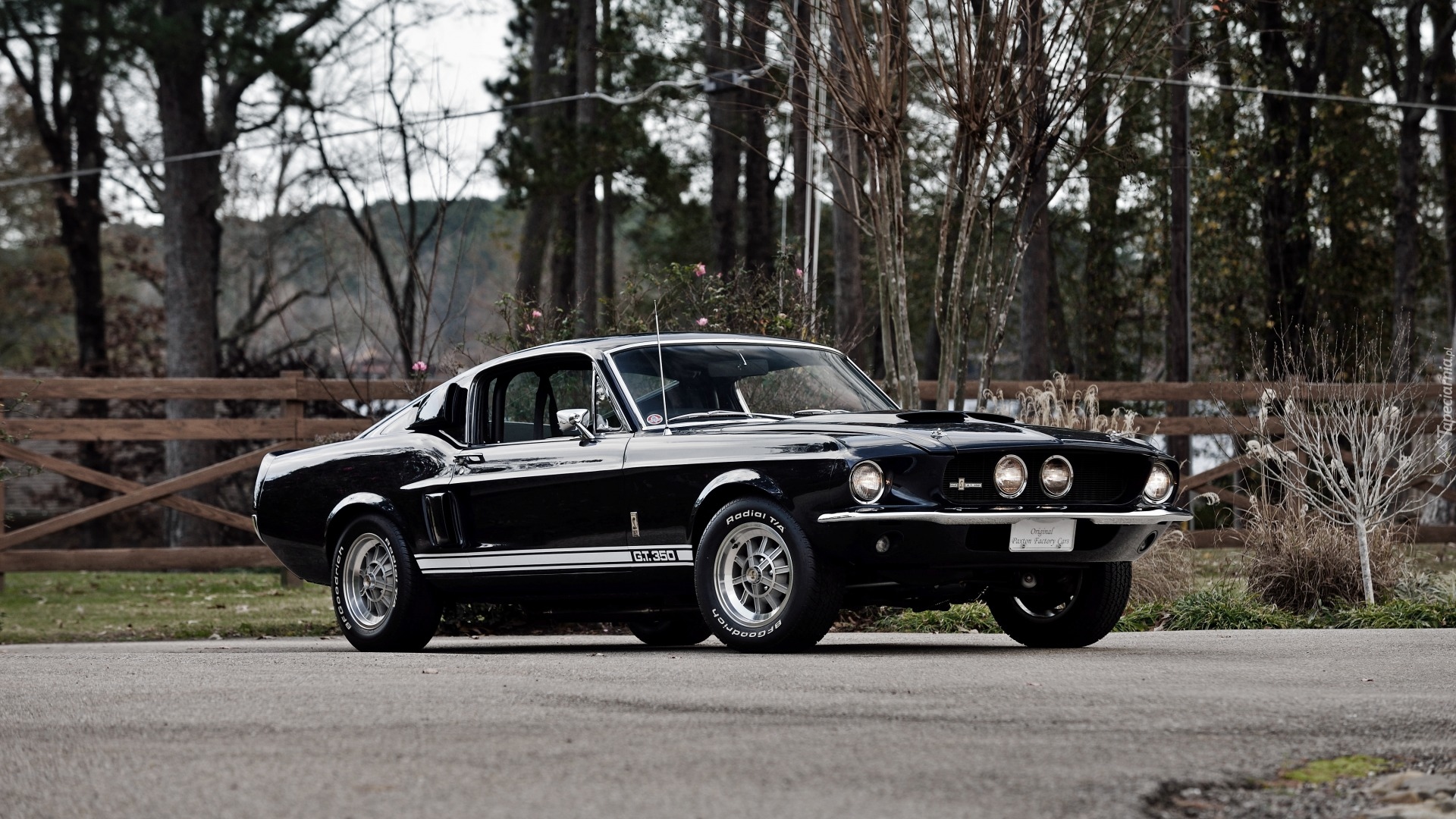 Zabytkowy, Ford Mustang Shelby GT350, 1967