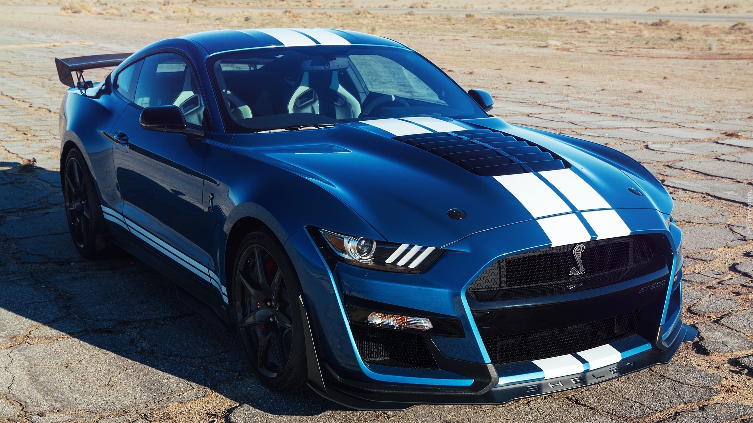 Ford Mustang Shelby GT500, 2019