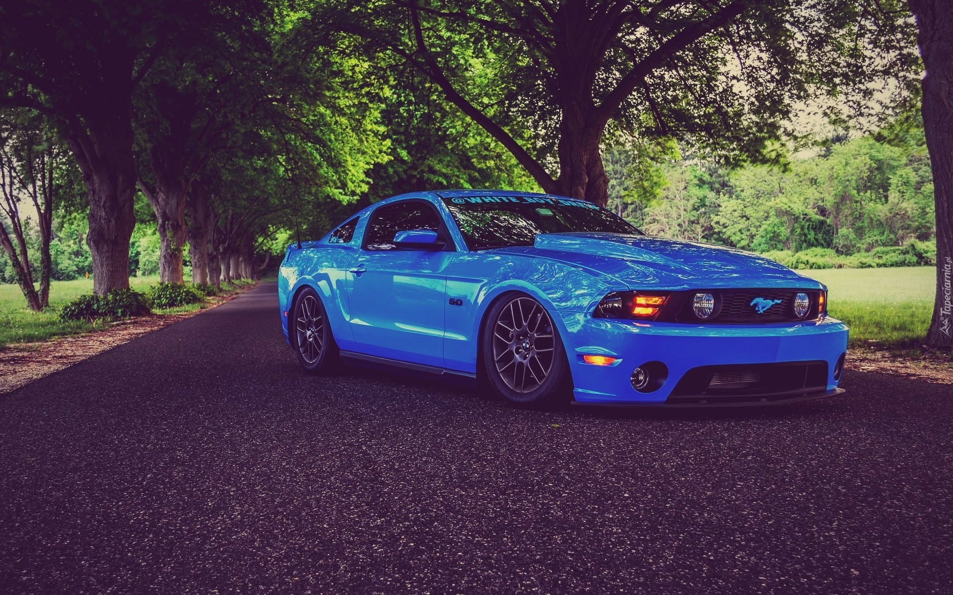 Niebieski, Ford Mustang Shelby GT700