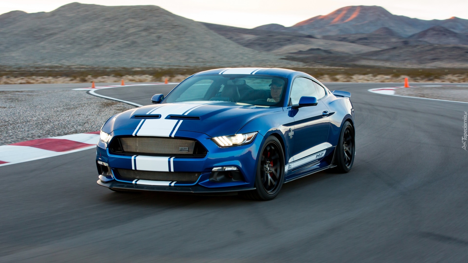 Ford Mustang Shelby Super Snake