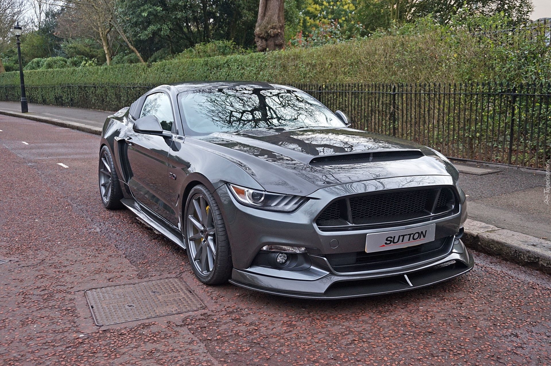 Ford Mustang Sutton CS800, 2017