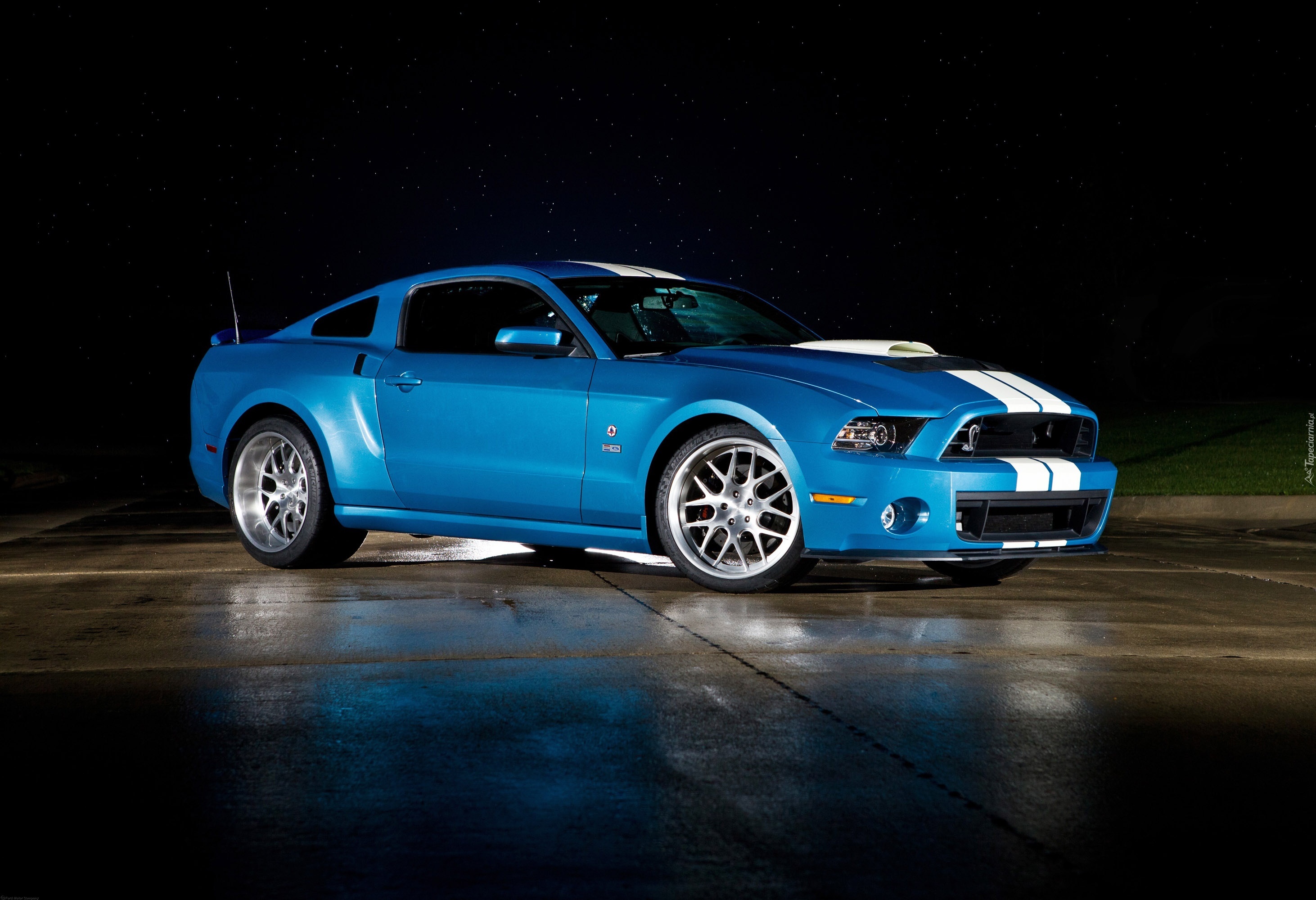 Ford Shelby, GT500, Cobra