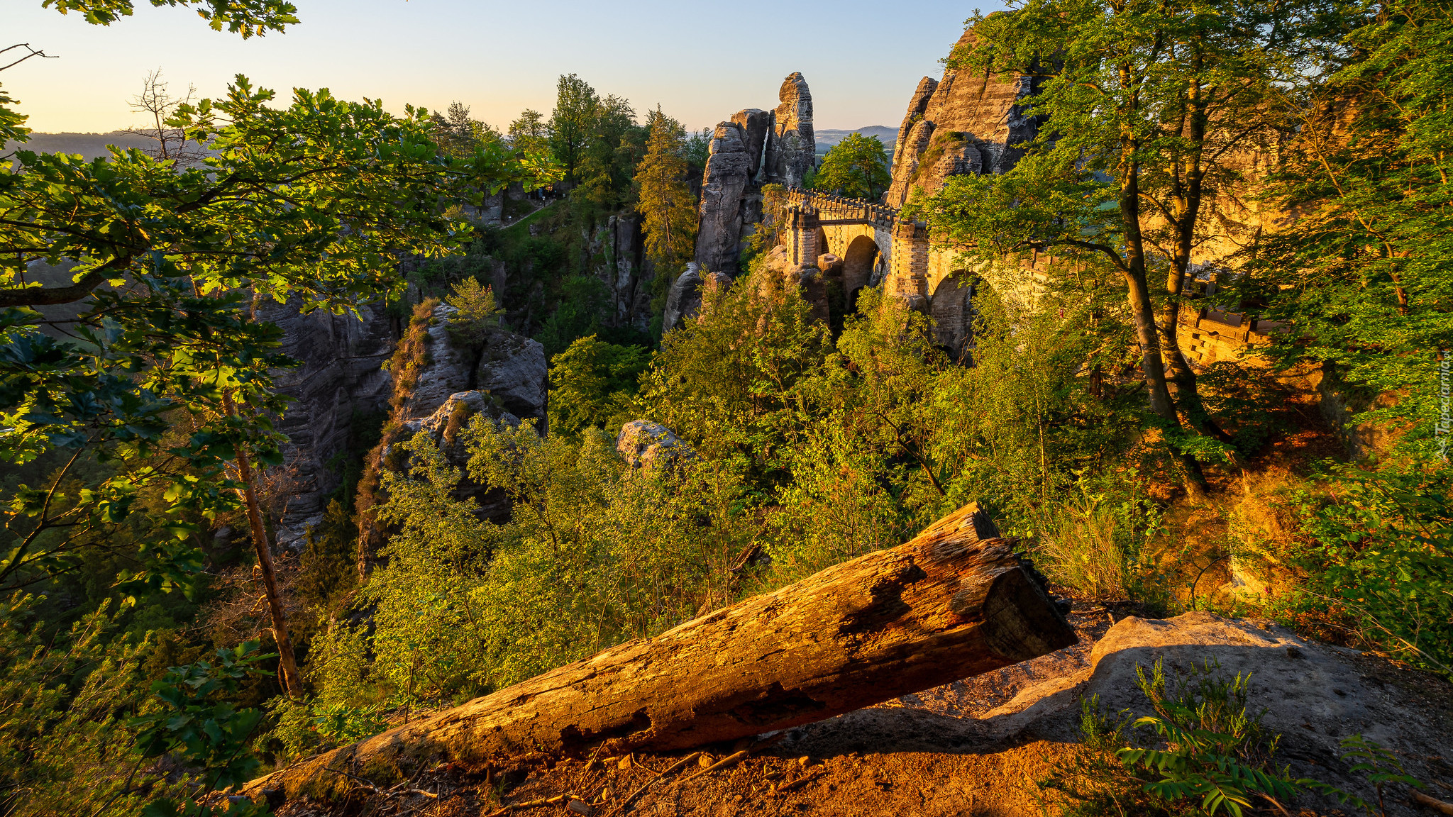 Formacja Bastei, Skały, Most, Drzewa, Powalone, Drzewo, Park Narodowy Saskiej Szwajcarii, Niemcy