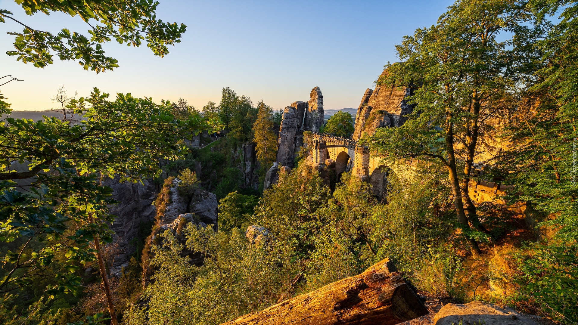 Góry Połabskie, Park Narodowy Saskiej Szwajcarii, Niemcy, Formacja skalna, Bastei, Skały, Most, Drzewa