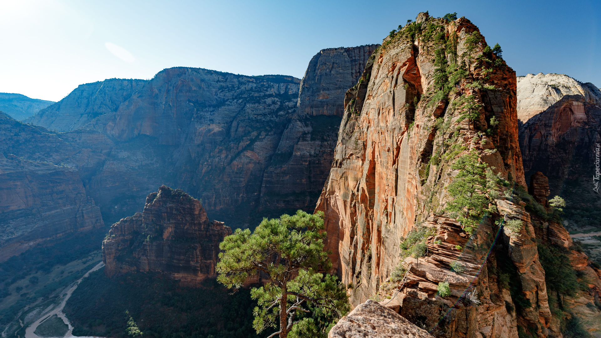 Park Narodowy Zion, Skały, Formacja, Angels Landing, Drzewa, Stan Utah, Stany Zjednoczone