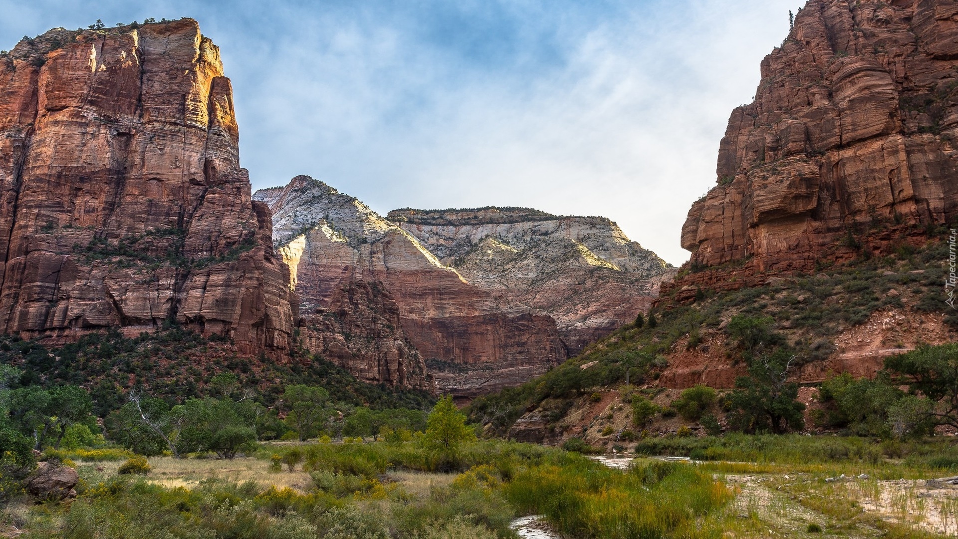 Park Narodowy Zion, Kanion, Formacja skalna Angels Landing, Skały, Stan Utah, Stany Zjednoczone, Góry, Drzewa, Trawa, Niebo