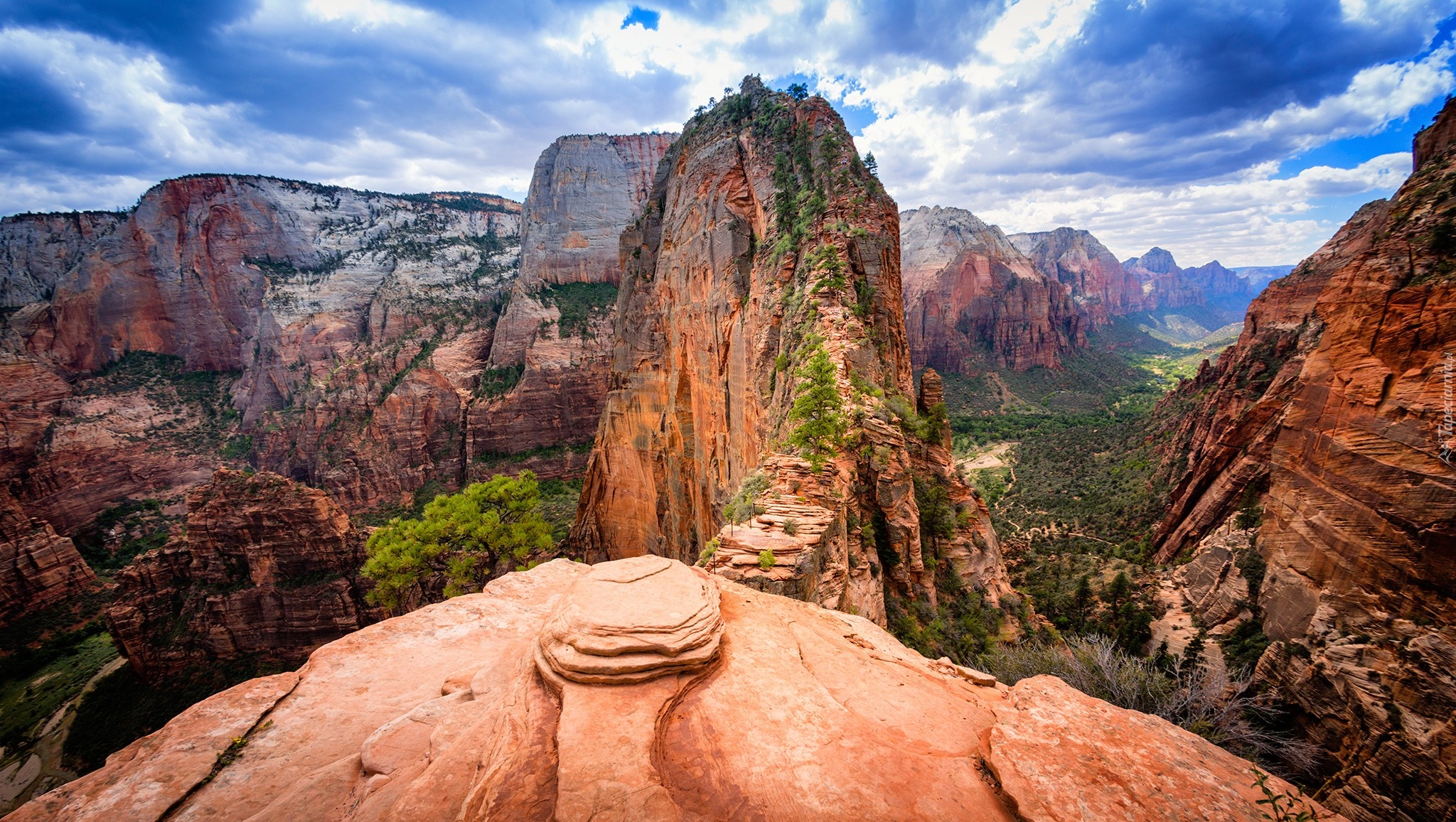 Stany Zjednoczone, Stan Utah, Park Narodowy Zion, Angels Landing, Kanion, Skały